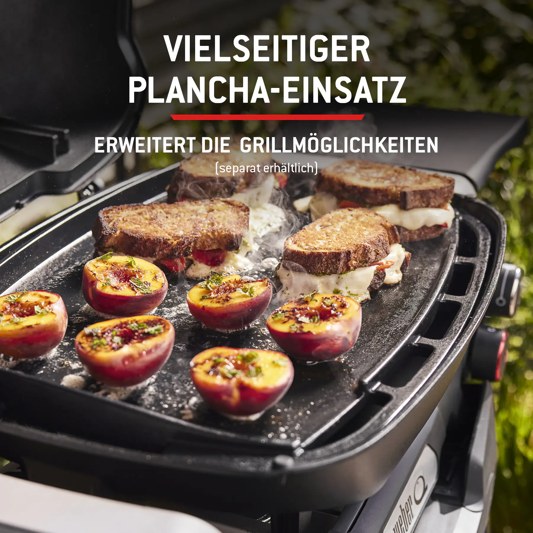 Weber Gasgrill Q2800N mit Rollwagen Grillfläche: 41 x 56 cm