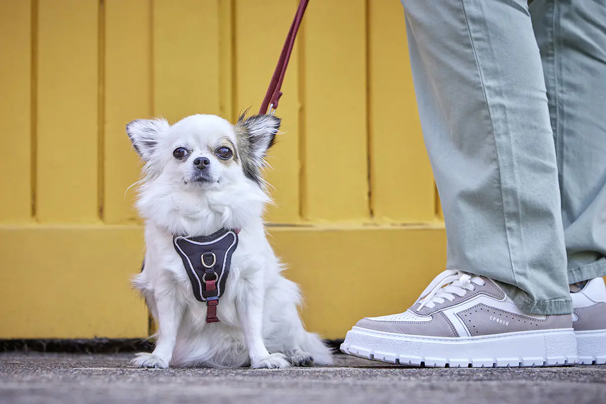 Wolters Hundeleine Professional Comfort rost rot 