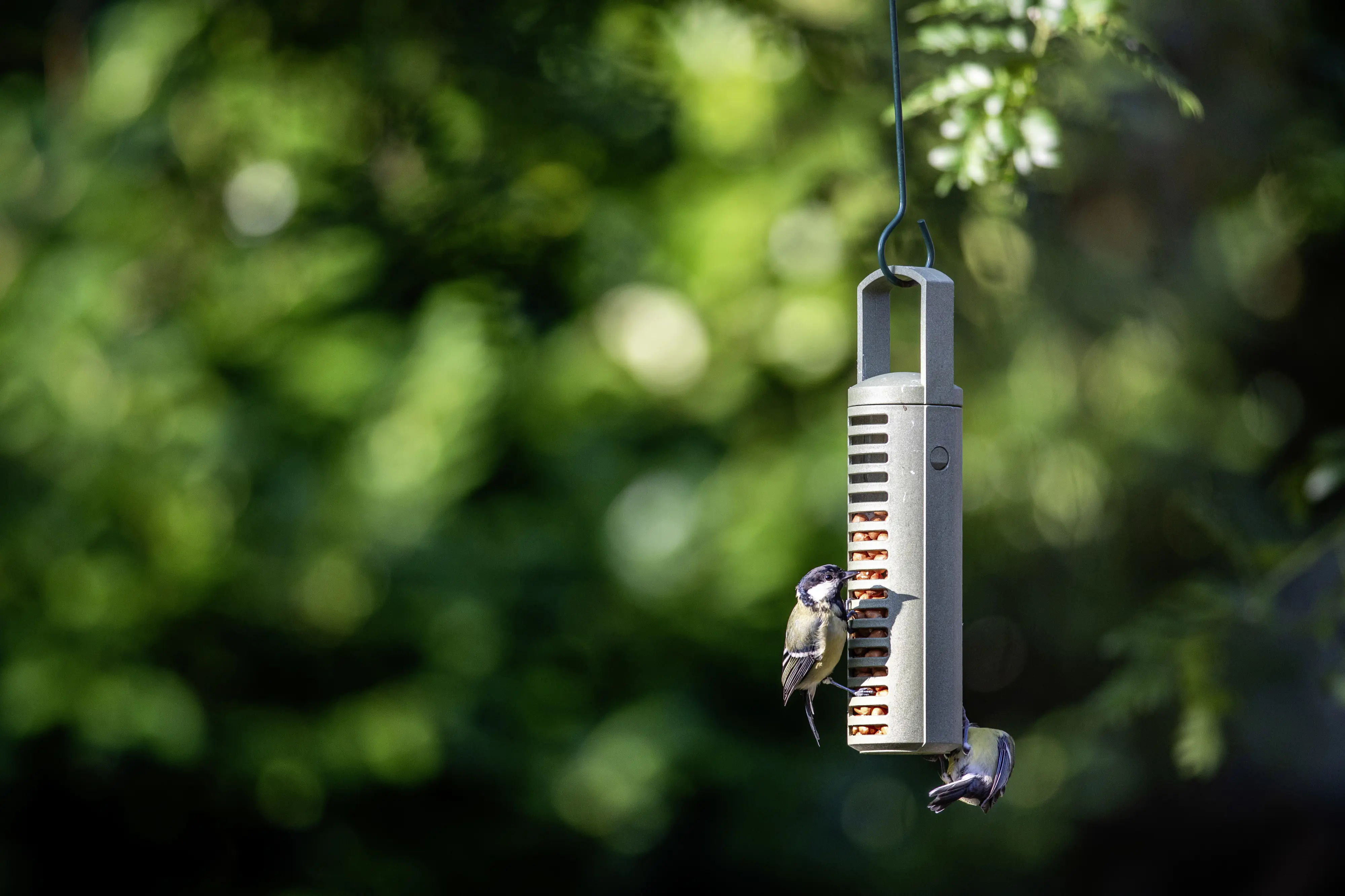 CJ Wildbird Erdnusssäule für Wildvögel CJ Wildbird Erdnusssäule für Wildvögel