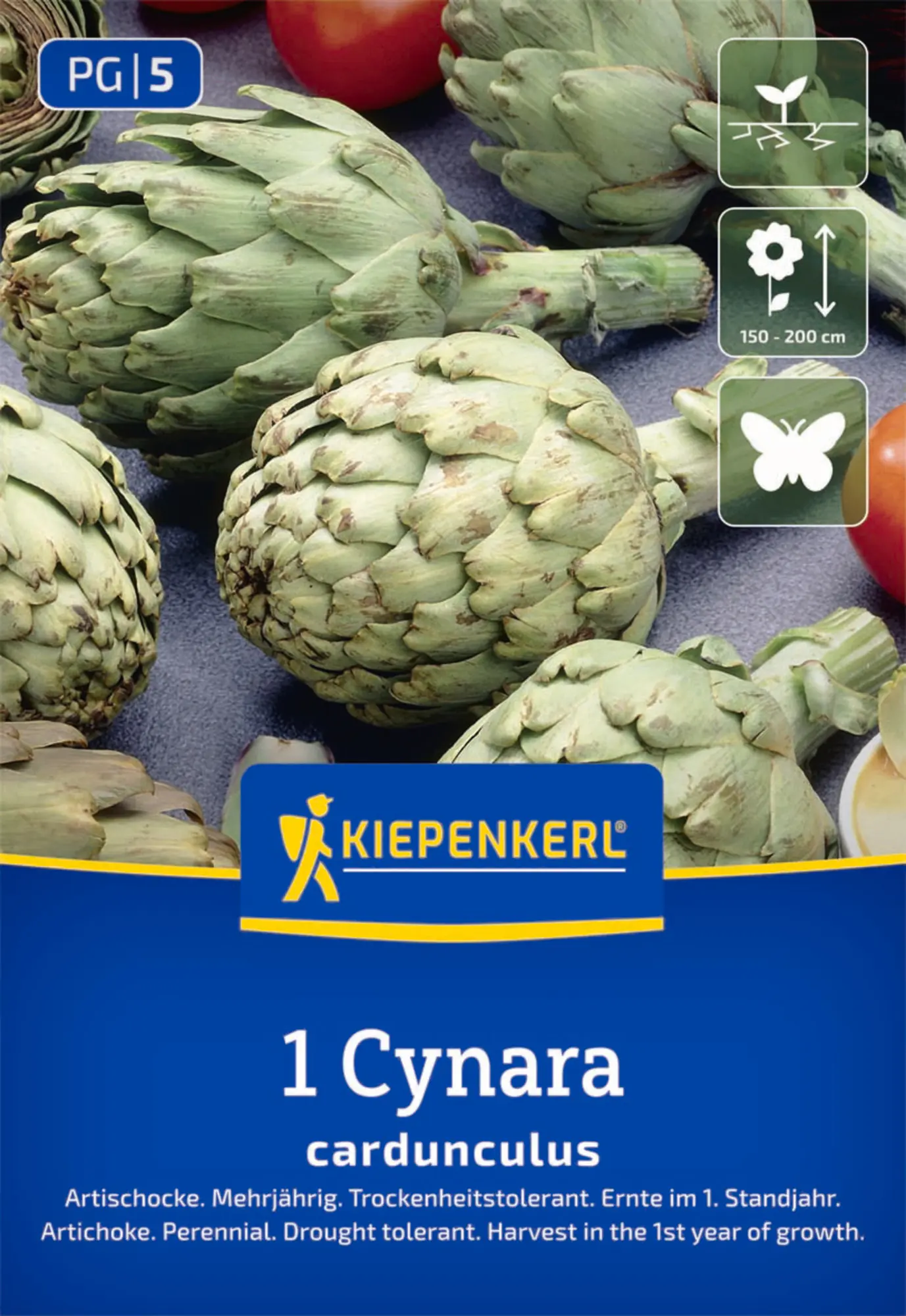 Kiepenkerl Pflanzgut Artischocke Cynara cardunculus 1 Stück