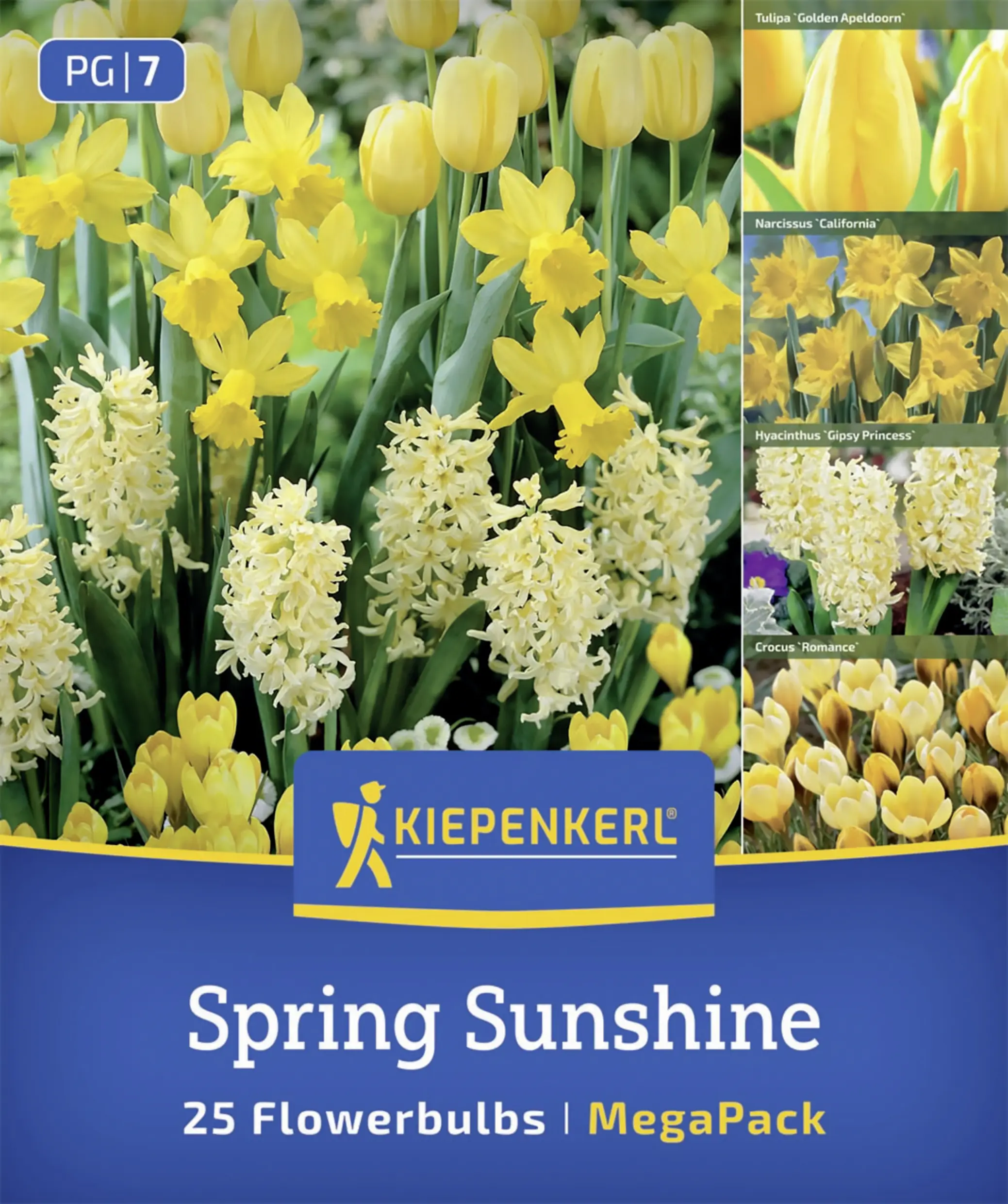 Kiepenkerl Mega Pack Spring Sunshine mehrfarbig 25 Stück