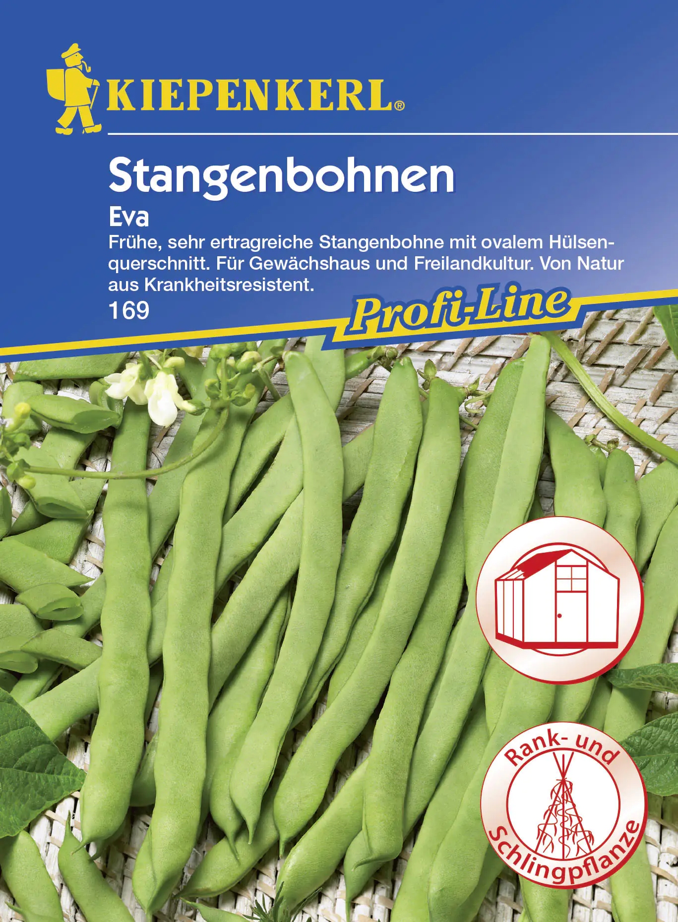 Kiepenkerl Stangenbohne Eva Phaseolus vulgaris var. vulgaris, Inhalt: 6-8 Stangen