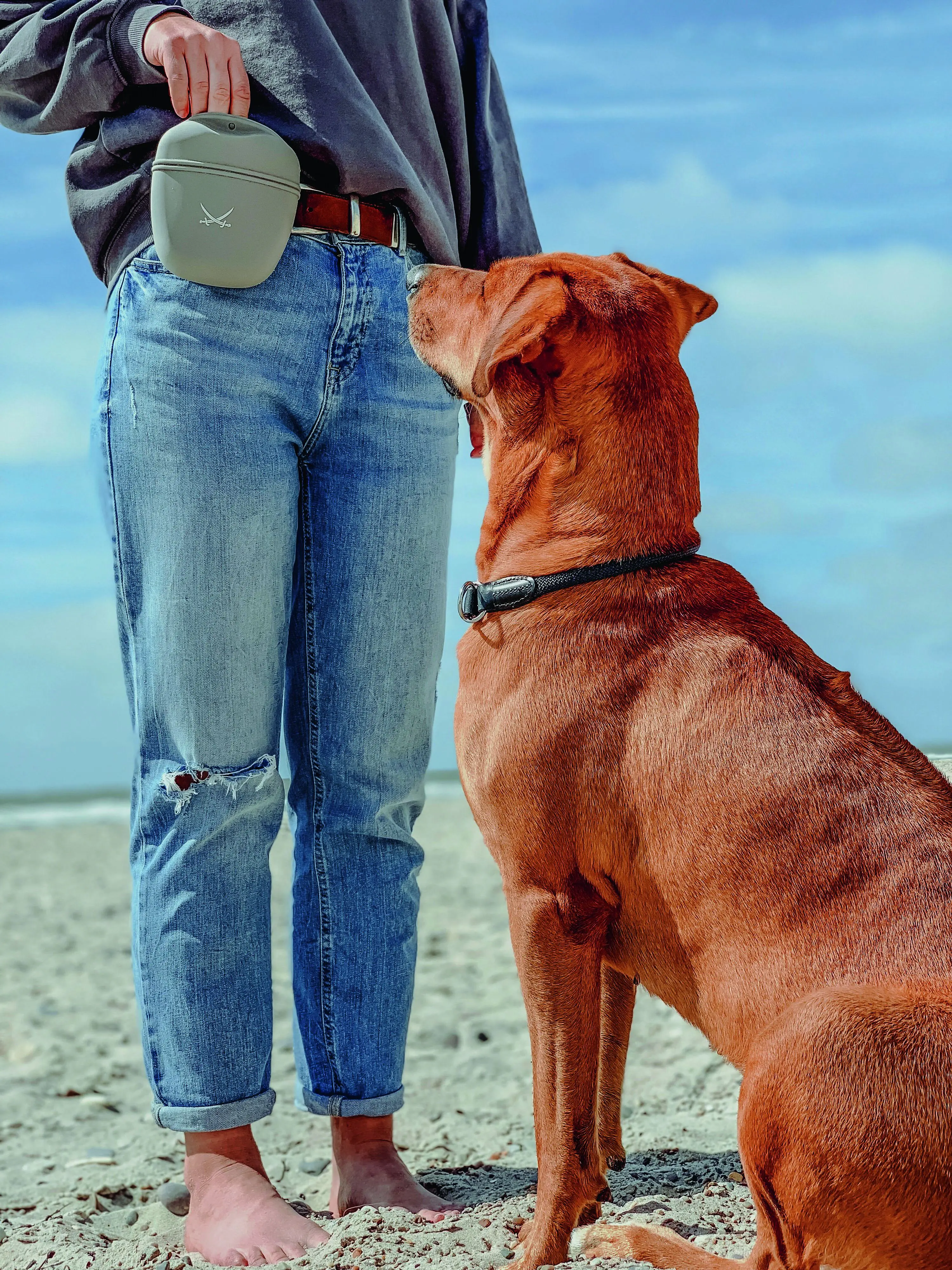 Hunter Hundehalsband Freestyle M schwarz