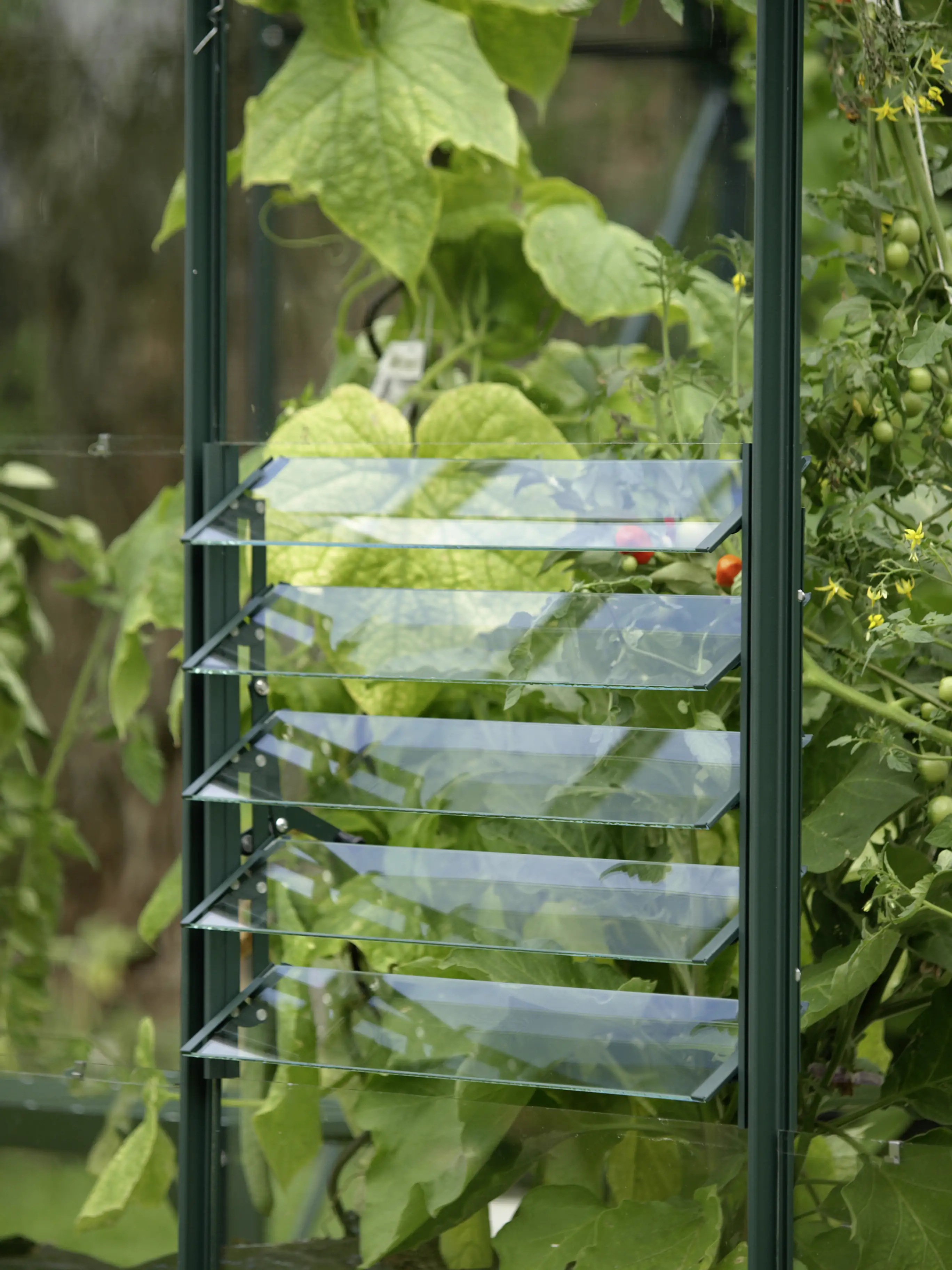 Vitavia Lamellen-Wandfenster 61 x 45 cm smaragd