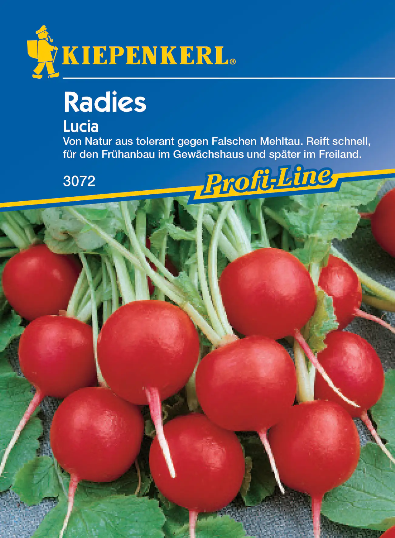 Kiepenkerl Radieschen Lucia F1