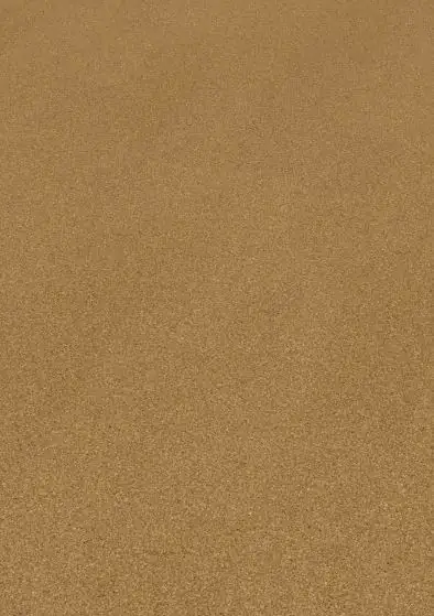 Amorim Handmuster Corklife Korkboden Studiostyle Beja