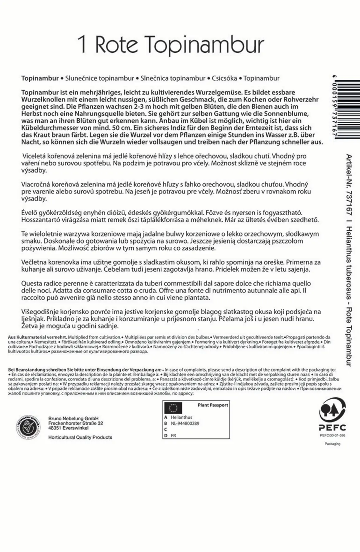 Kiepenkerl Rote Topinambur Violet de Rennes Helianthus tuberosus Kiepenkerl Rote Topinambur Violet de Rennes Helianthus tuberosus