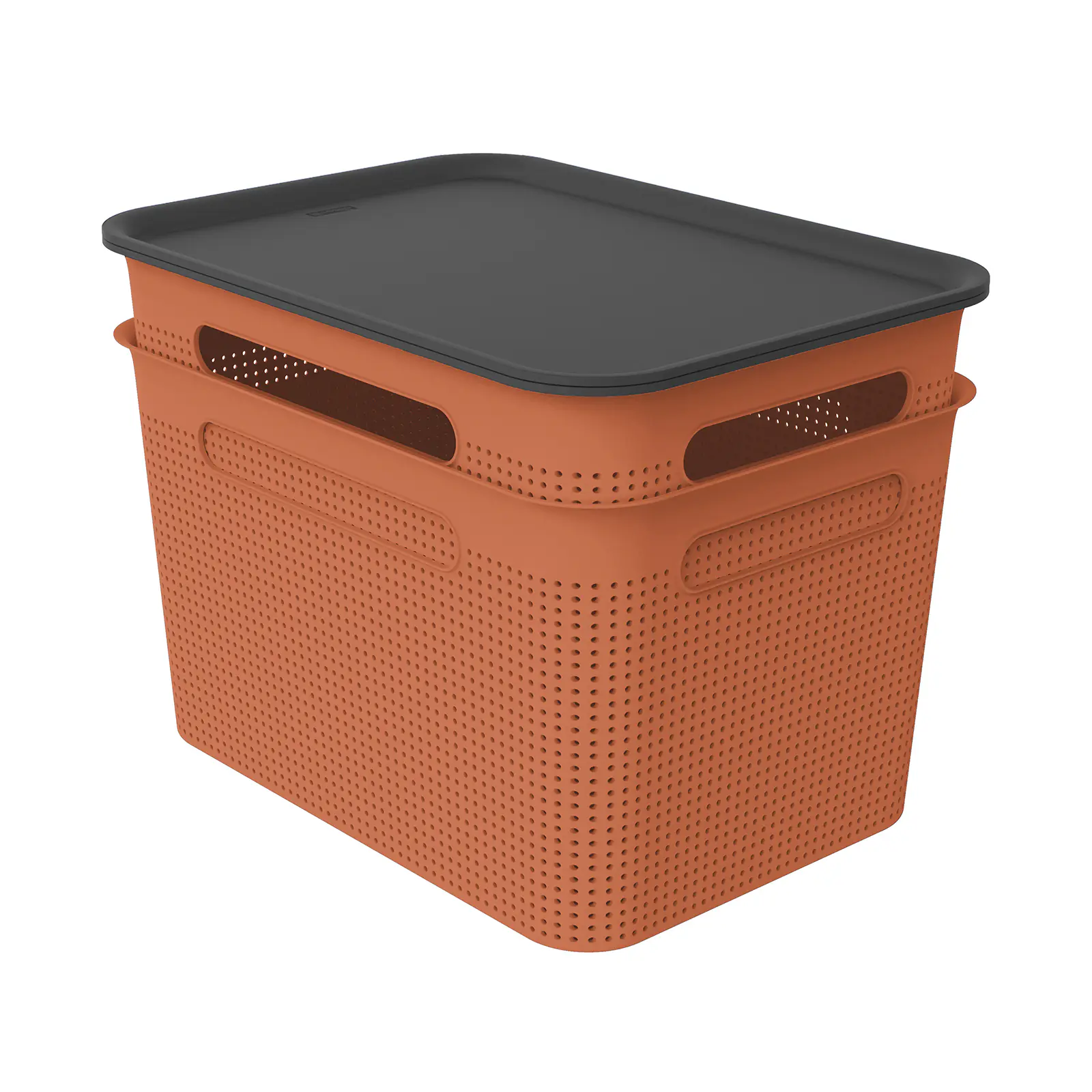 Rotho Aufbewahrungsbox Brisen mit Deckel 36,5 x 26,5 cm 16 L clay koralle 2er Set