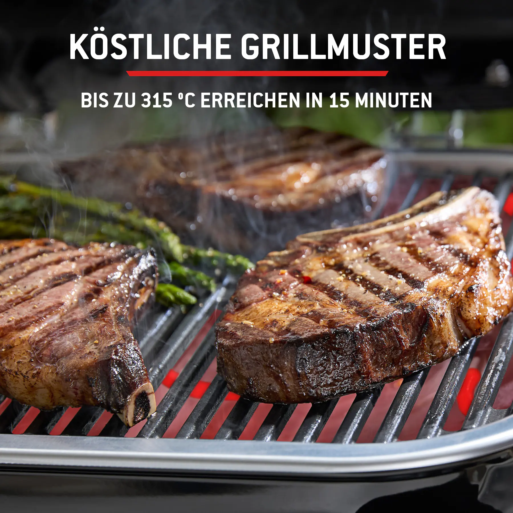 Weber Elektrogrill Lumin Compact mit Stand Grillfläche: 43 x 28 cm