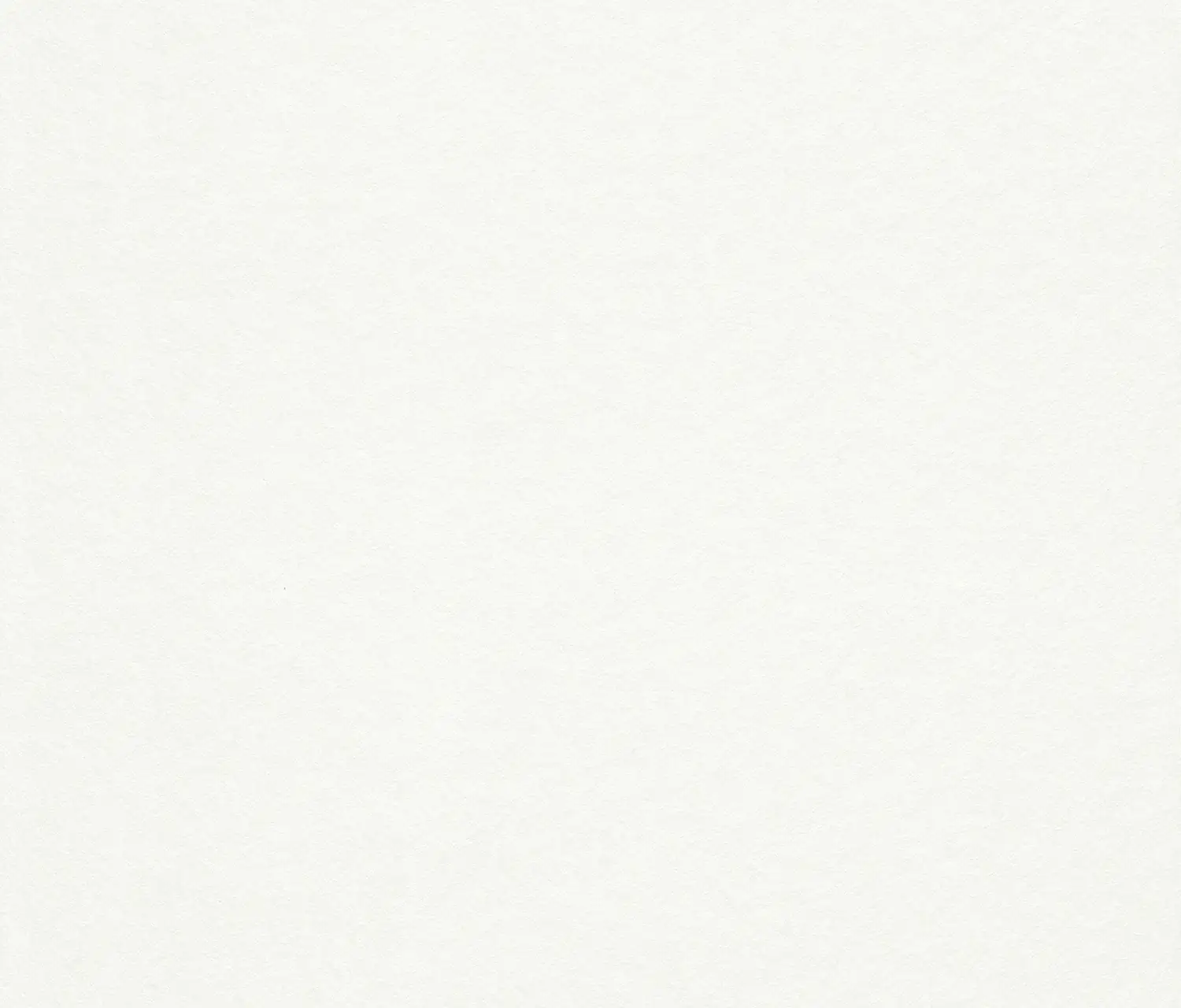 Rasch Makulaturvlies 658408 weiß 25 x 0,75 m