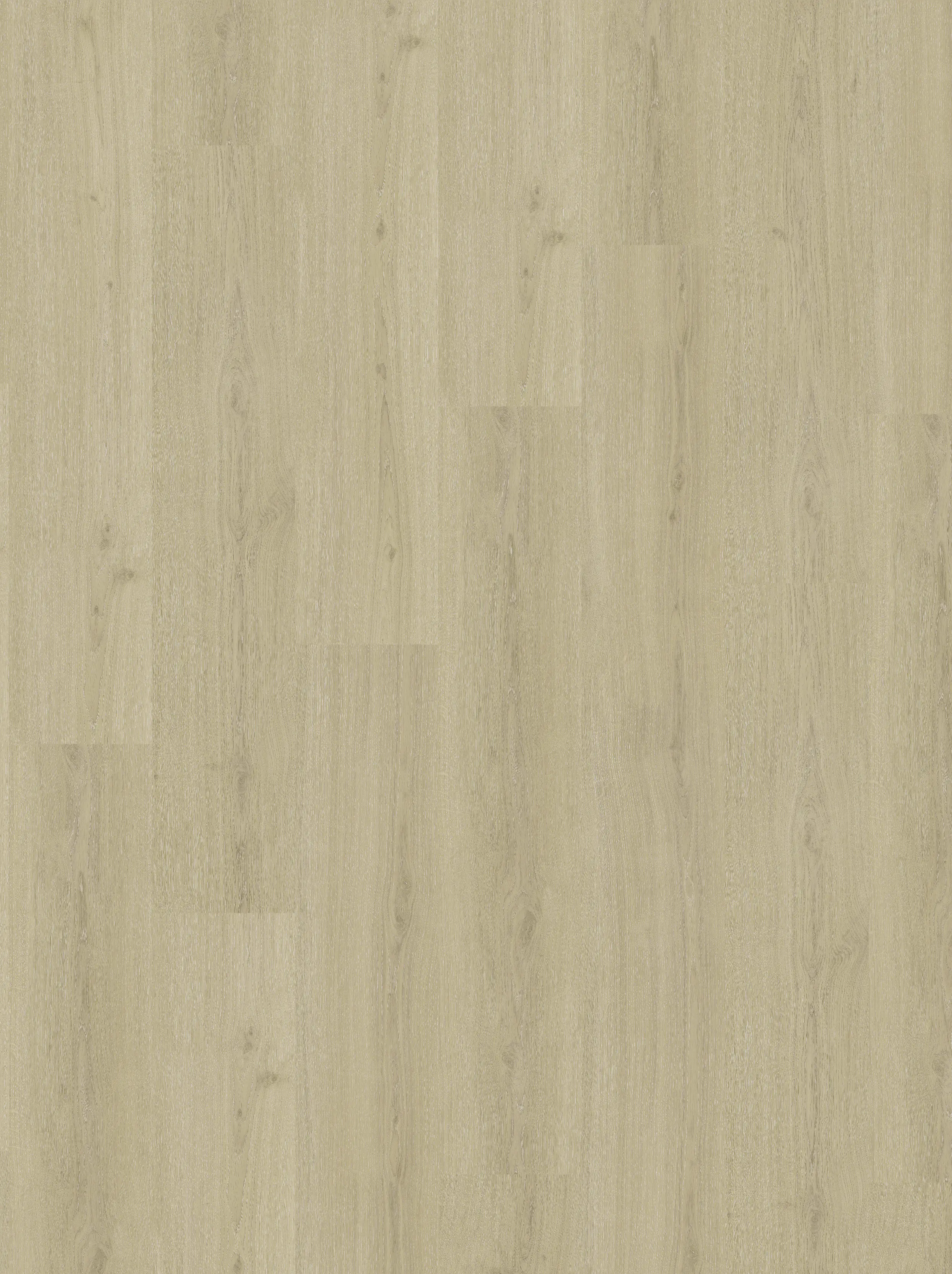 Parador Vinylboden mit Trillschalldämmung Basic 30 Eiche regent beige Parador Vinylboden mit Trillschalldämmung Basic 30 Eiche regent beige