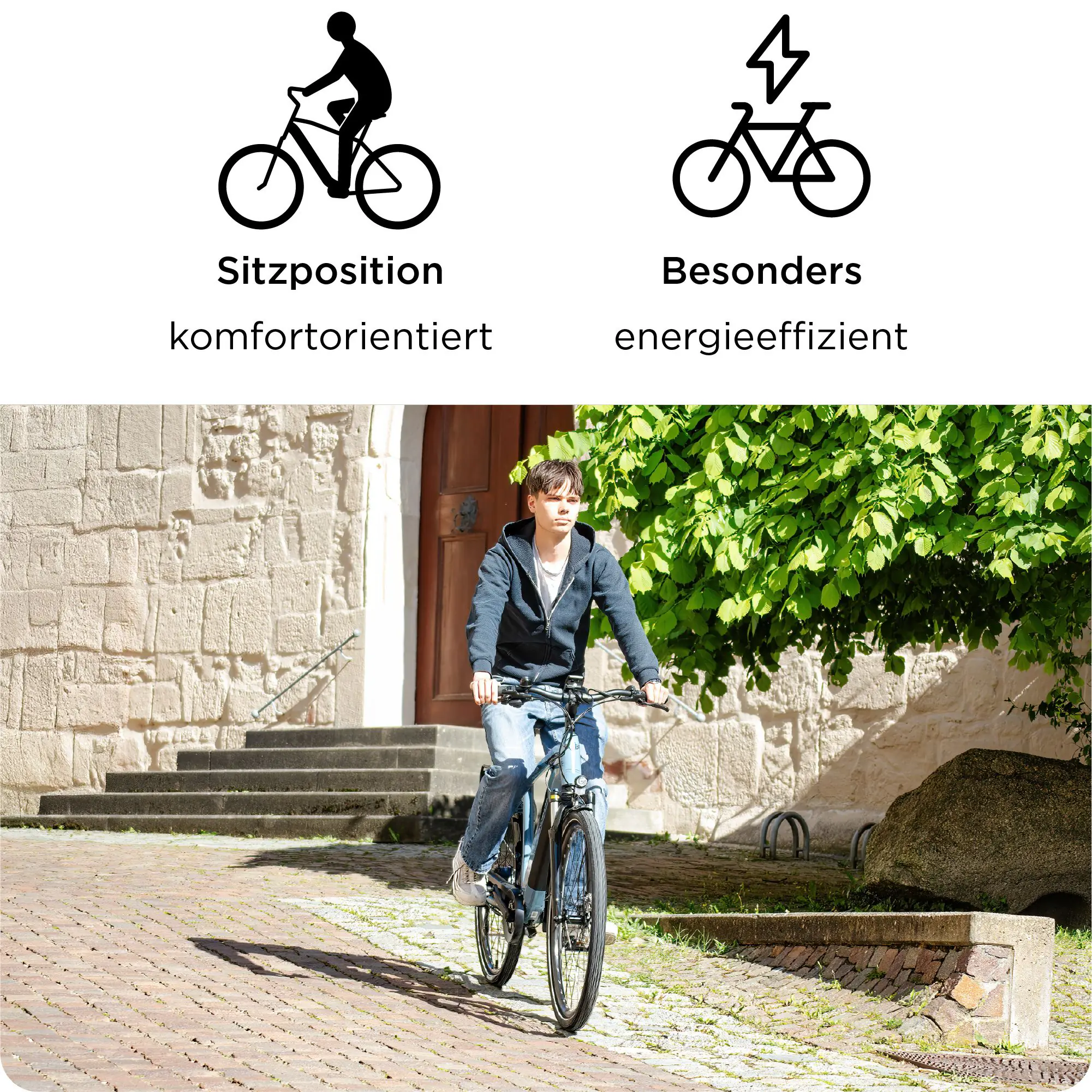 Zündapp E-Bike Z810 Trekking 28 Zoll 8-Gang 550 Wh schwarz beige