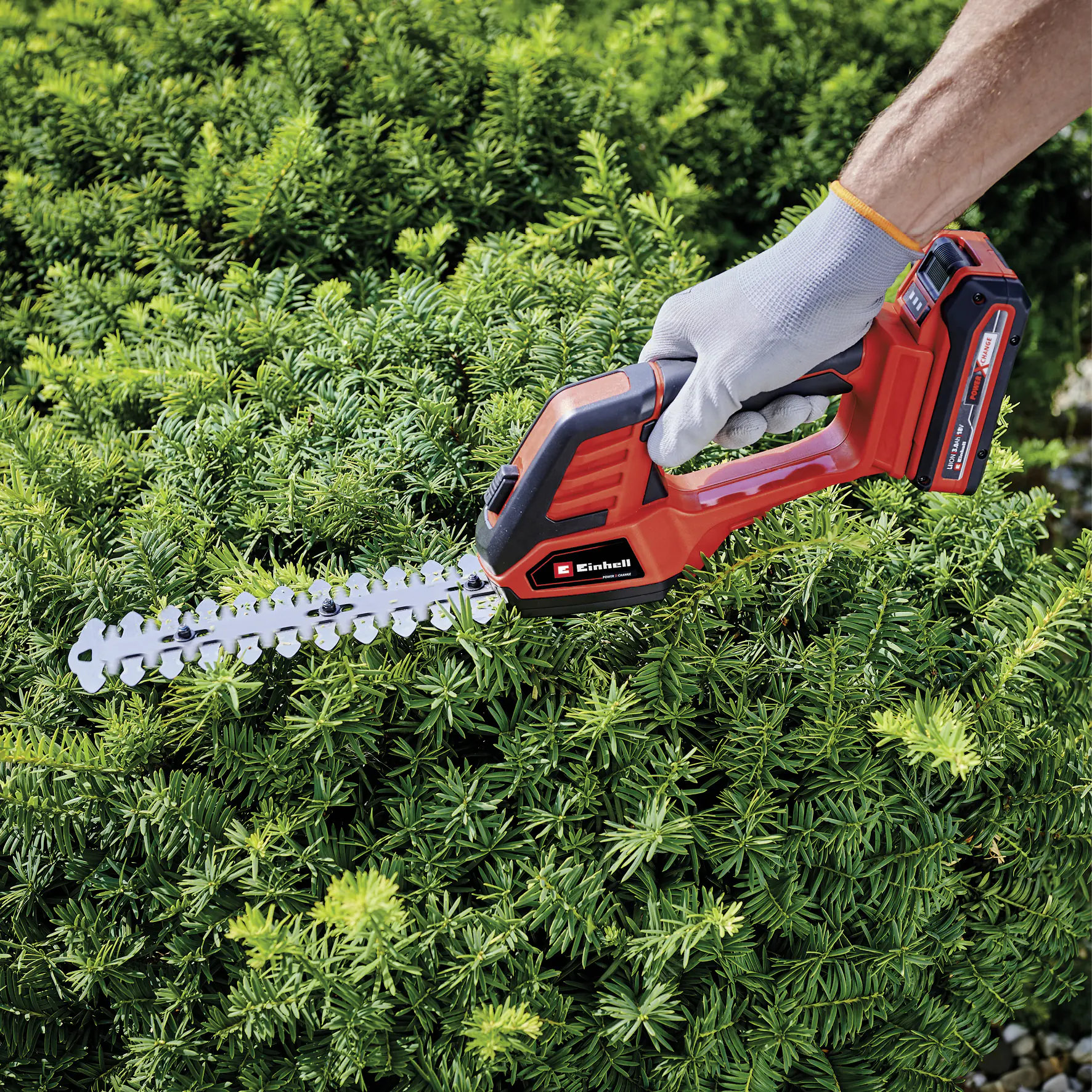 Einhell Akku Gras-/ Strauchschere GE-CG 18/100 Li T-Solo 20cm Schnittbreite