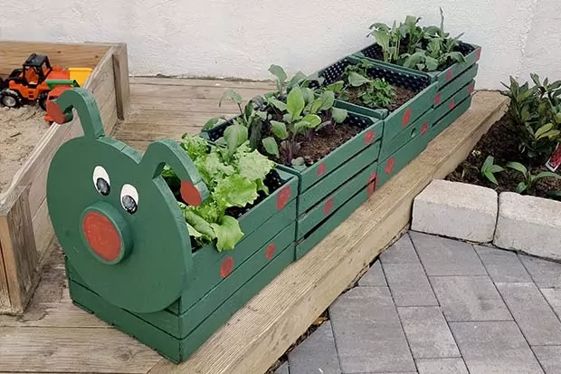 Kinderbeet aus Holzkisten