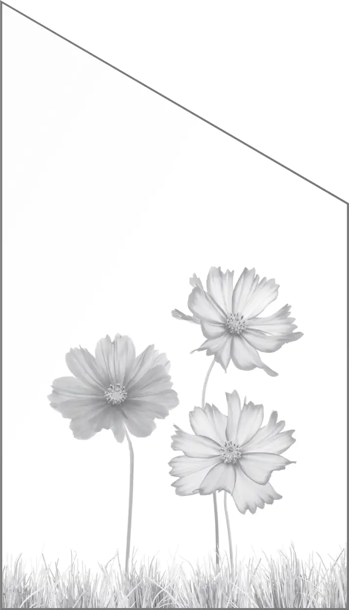 Ambiente Glaszaun Dekor 93 schräg 103 x 180/120 cm gehärtetes 8 mm Glas Ambiente Glaszaun Dekor 93 schräg 103 x 180/120 cm gehärtetes 8 mm Glas