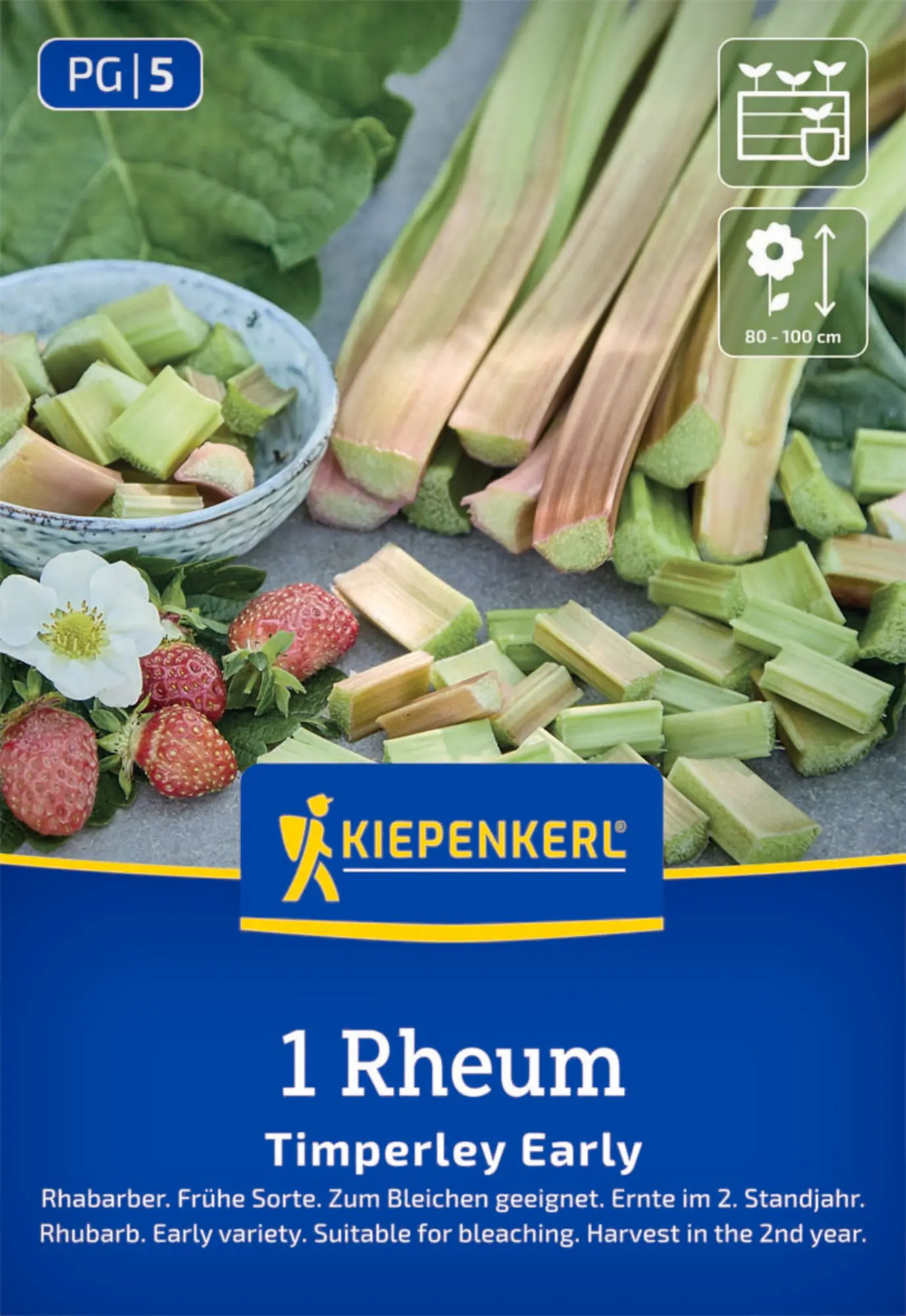 Kiepenkerl Pflanzgut Rhabarber Timperley Early Rheum rhabarbarum 1 Stück
