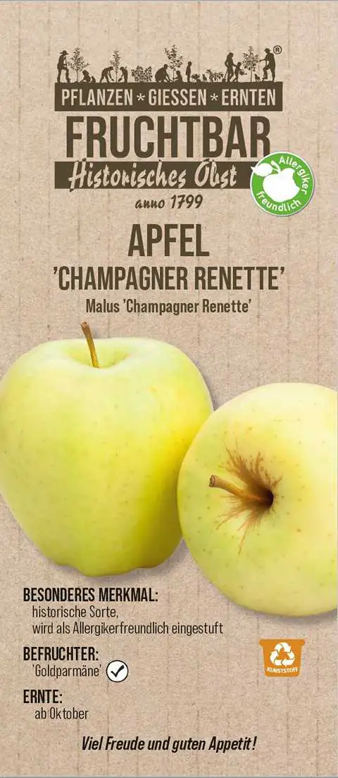 Stadt Ernte Bio Obstbaum Apfel Champagner Renette H 150 cm 29 cm Topf
