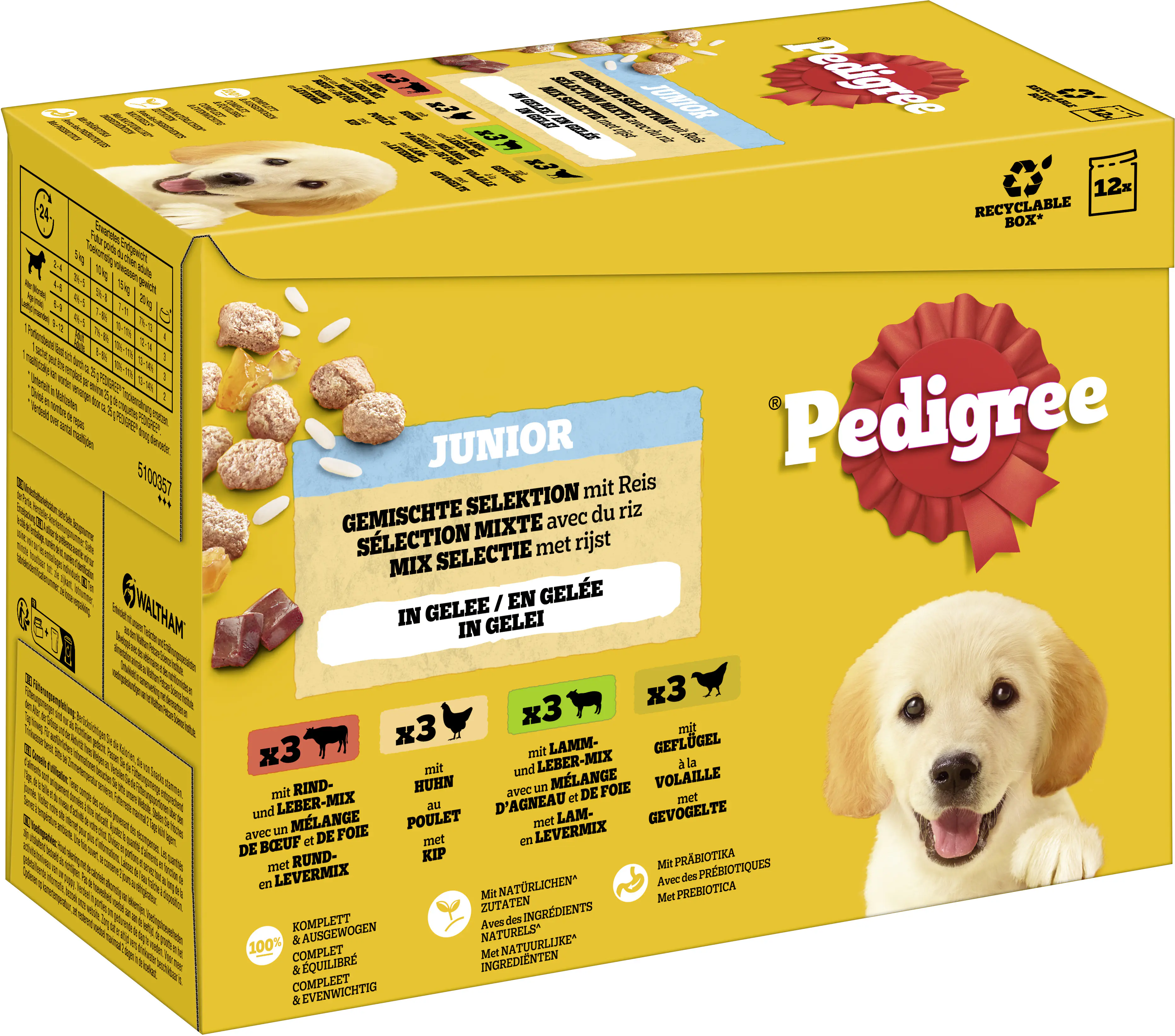 Pedigree Hundenassfutter Junior 12 x 100 g gemischte Selektion in Gelee