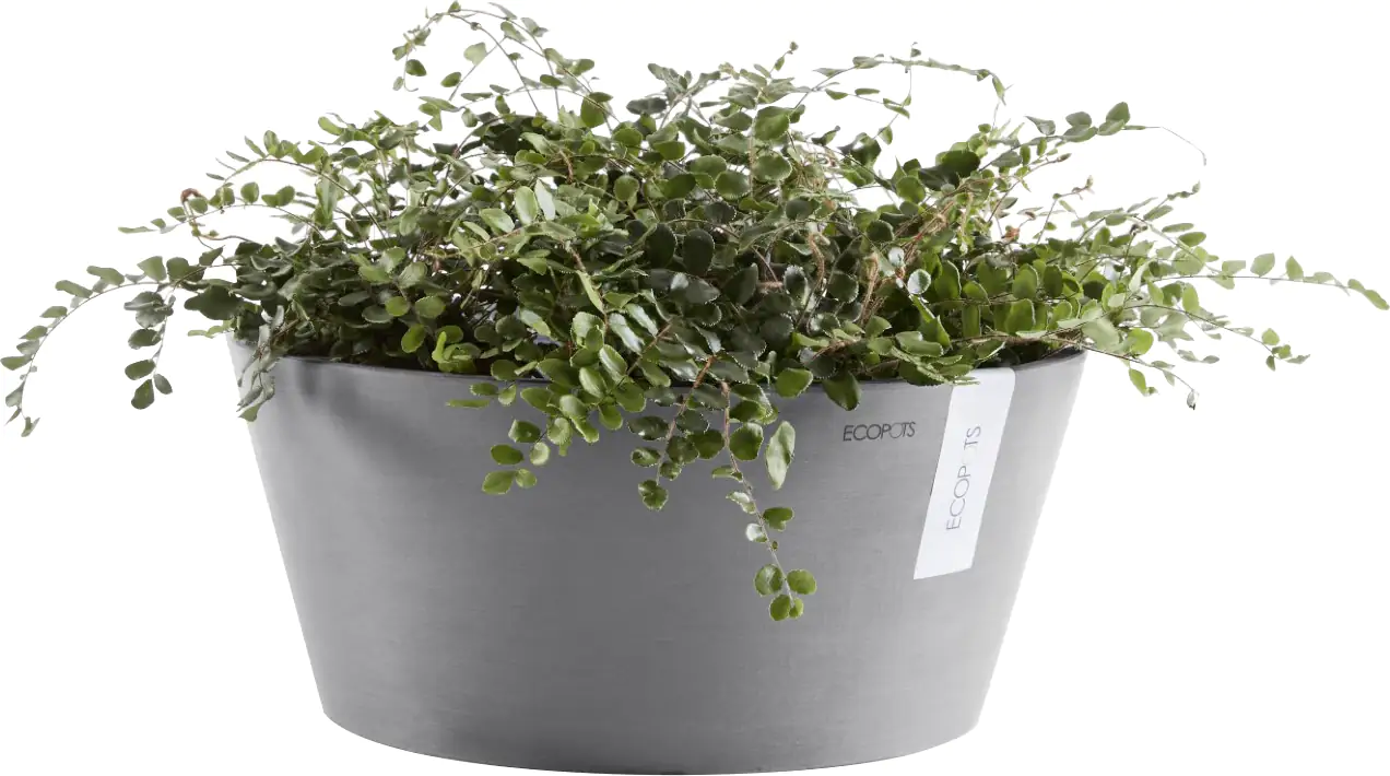 Ecopots Pflanztopf Frankfurt Ø 30,6 x 15 cm grau