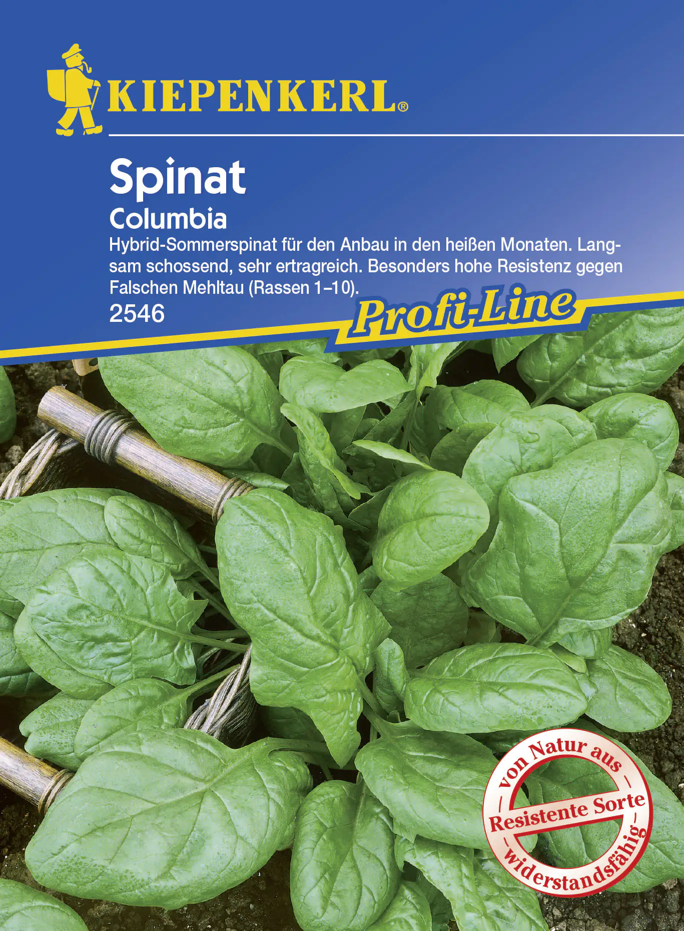 Kiepenkerl Spinat Columbia Spinacia oleracea, Inhalt: 6 Ifd. Meter Kiepenkerl Spinat Columbia Spinacia oleracea, Inhalt: 6 Ifd. Meter