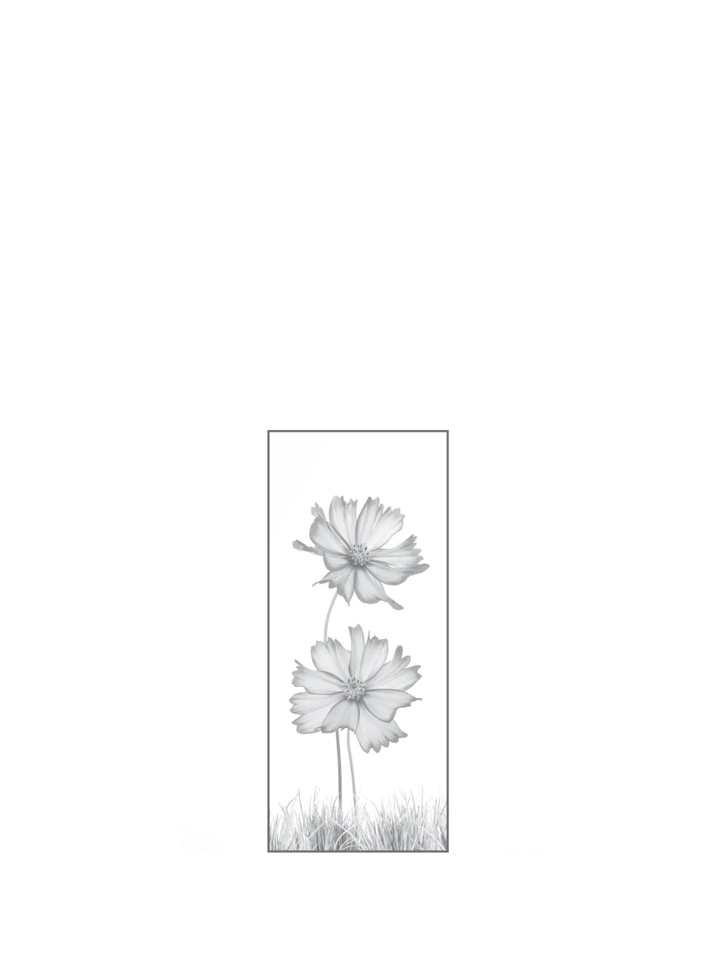 4250189693142_2 Ambiente Glaszaun Dekor 93 51,5 x 120 cm gehärtetes 8 mm Glas