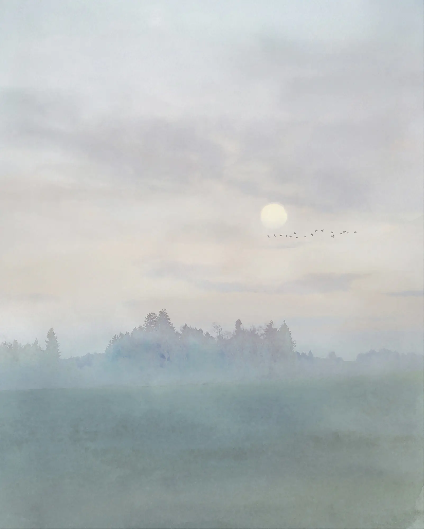 Komar Vlies Fototapete Hazy Hush blau-grün 250 x 200 cm 