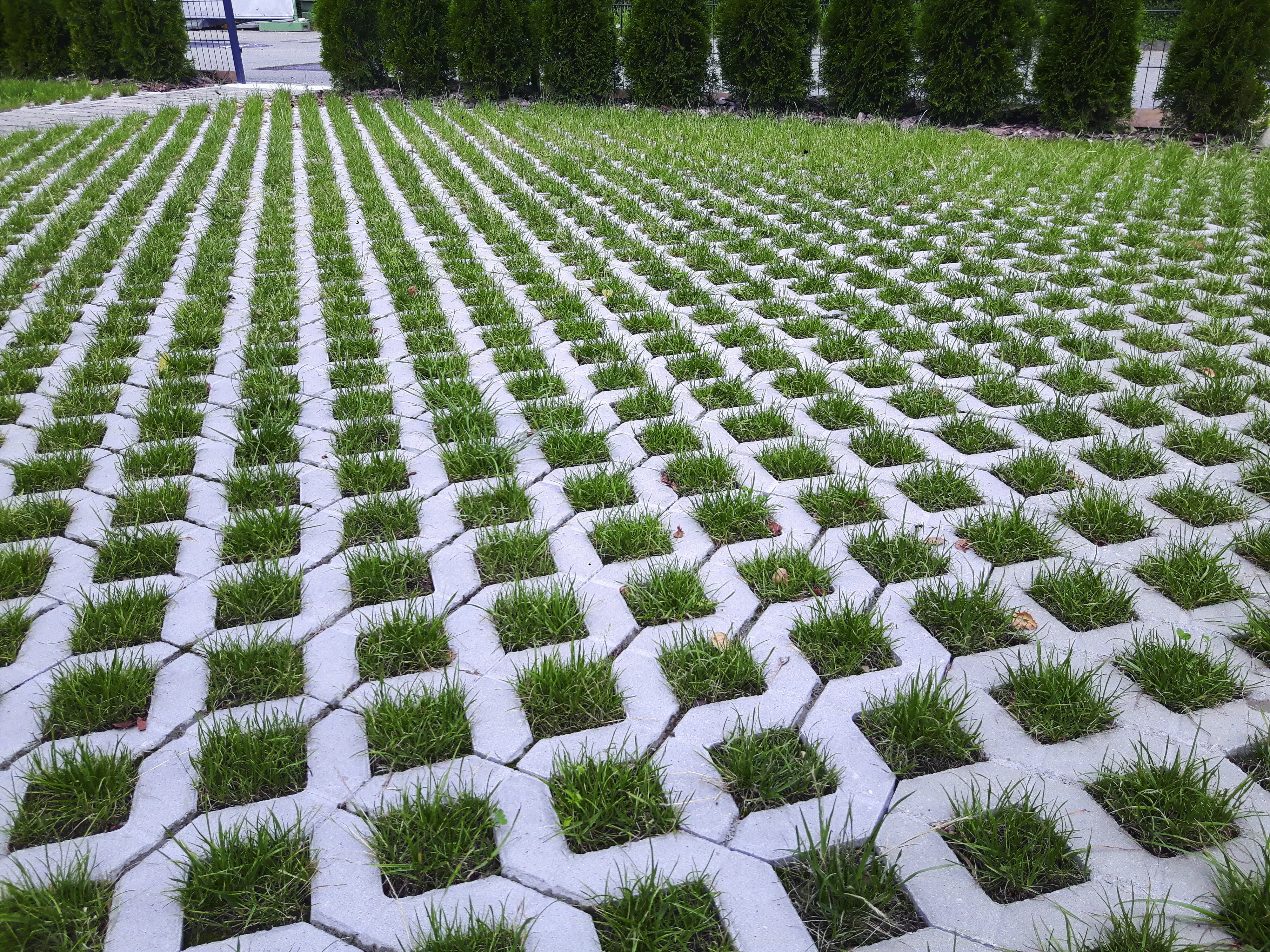 EHL Rasengitterstein  61,2 x 40,8 x 8 cm grau