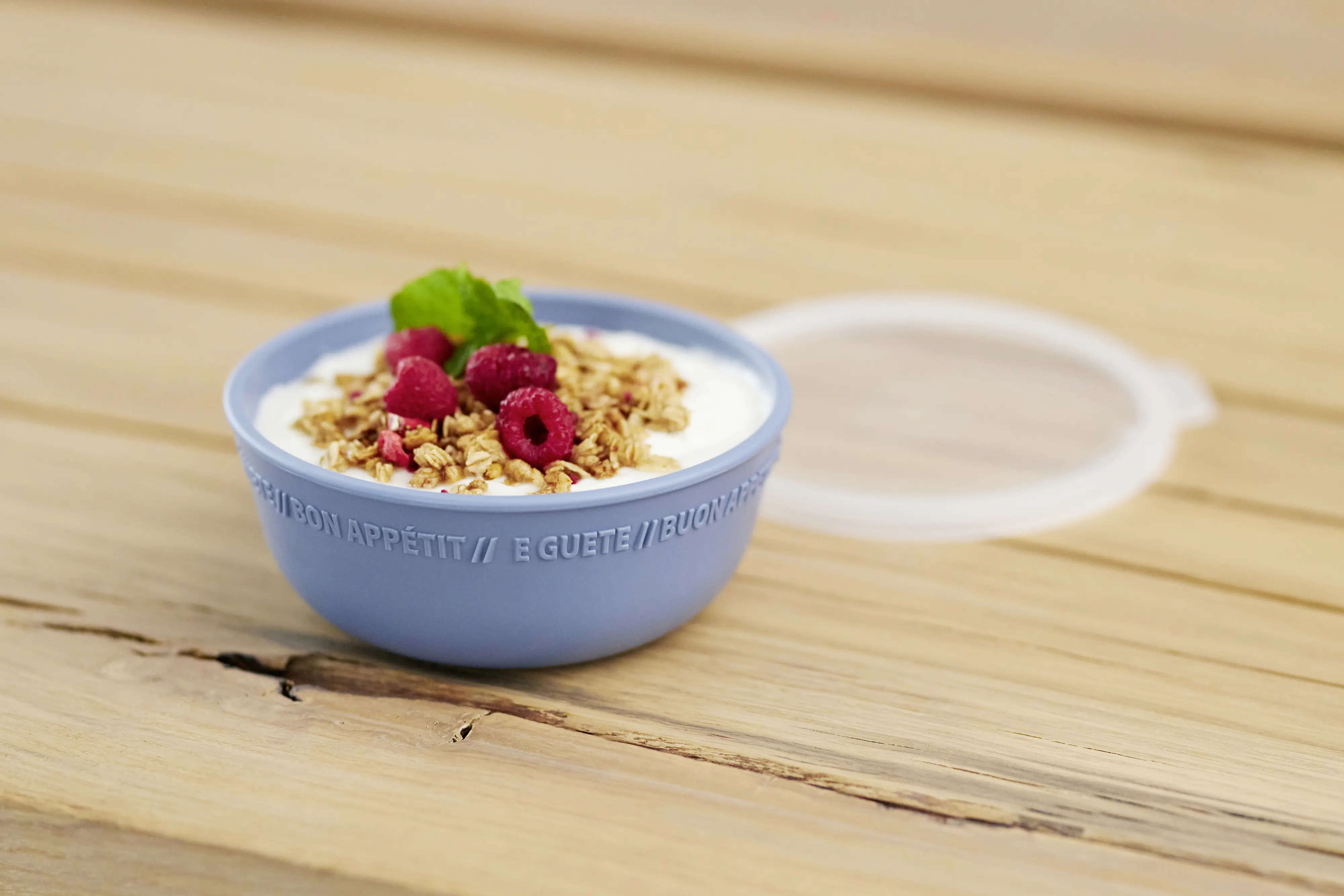 Rotho Schüssel mit Deckel 0,35 L Tresa horizon blau