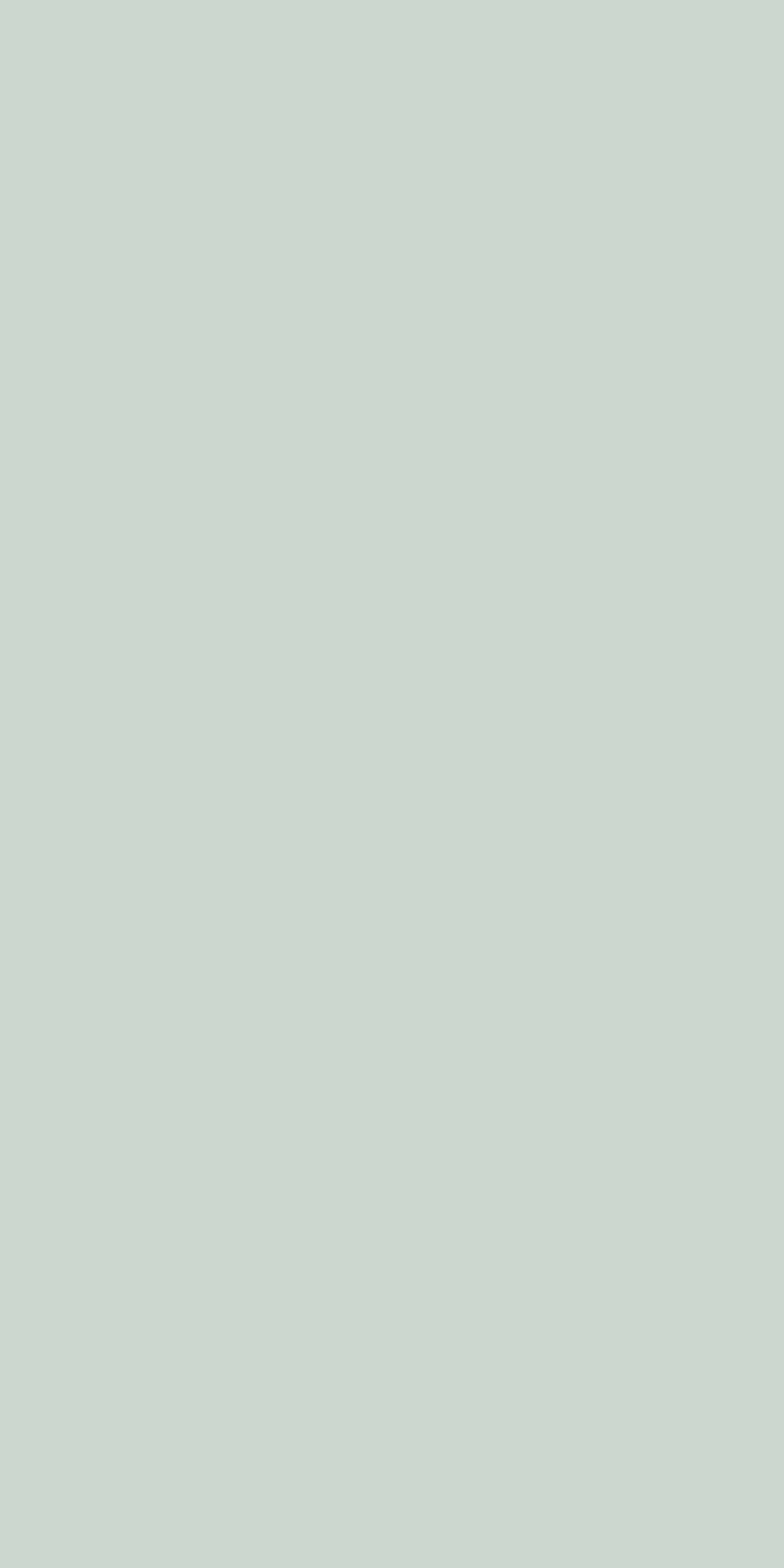 Wetwall Alloy Duschrückwand Terra Grey/Seabreeze Green 60 x 244 cm