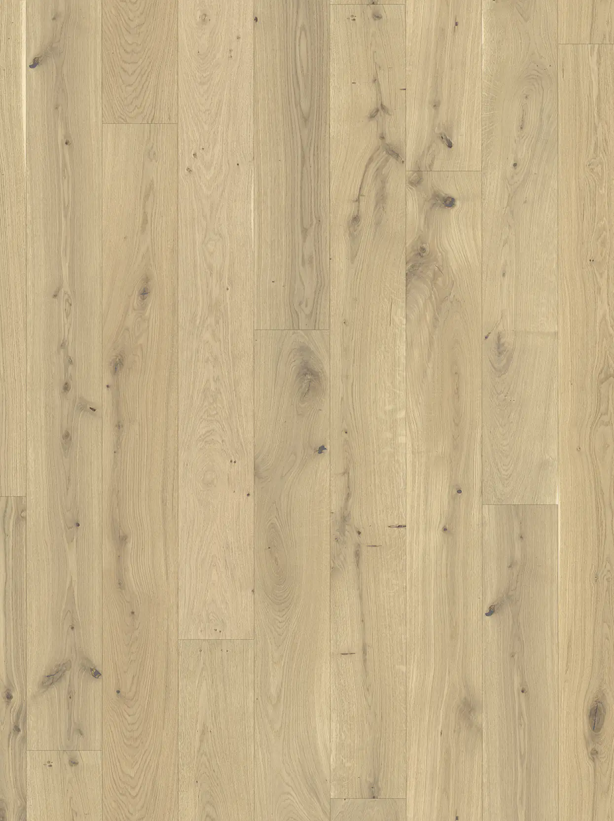 Parador Parkett Basic 11-5 Rustikal Eiche gebürstet naturgeölt weiß Parador Parkett Basic 11-5 Rustikal Eiche gebürstet naturgeölt weiß