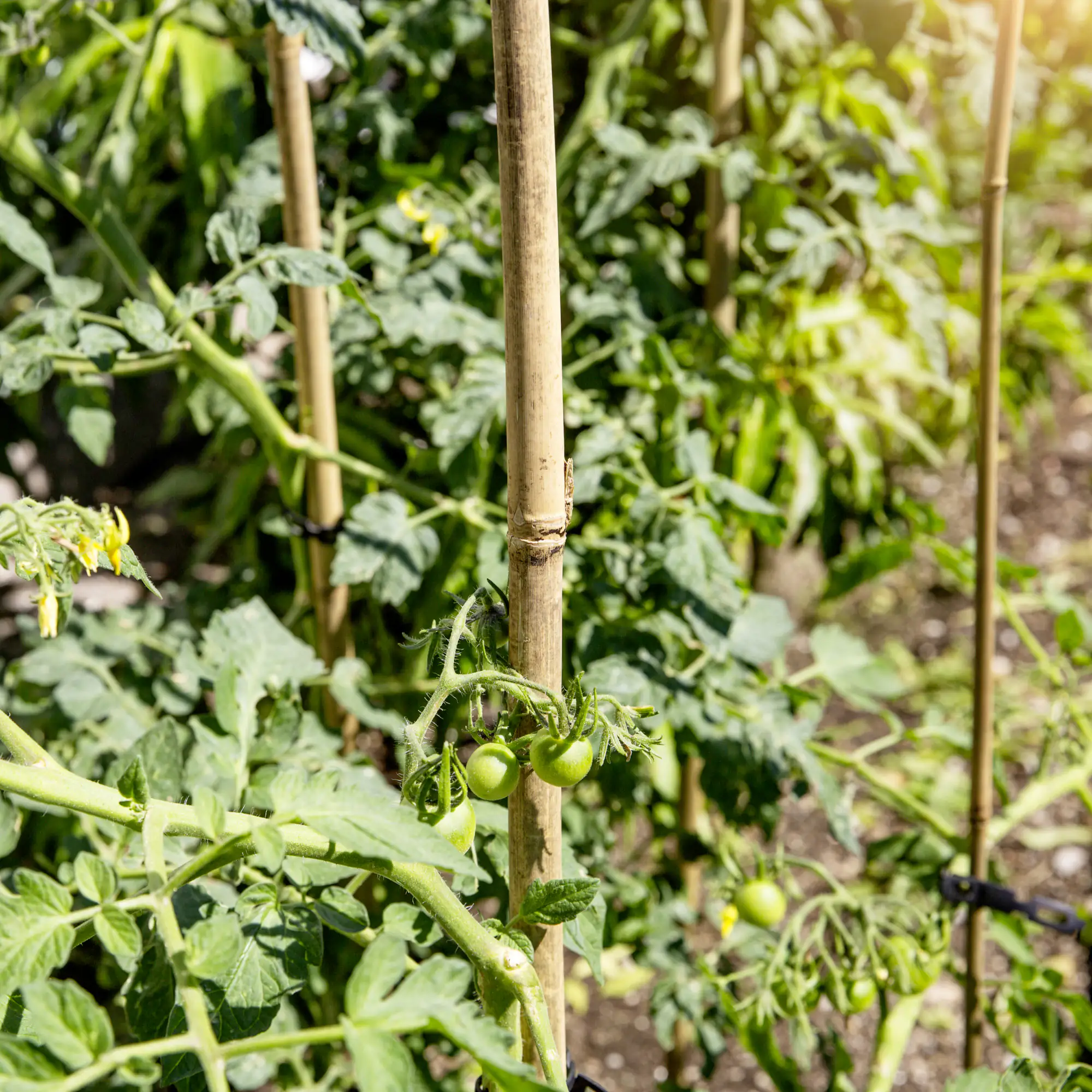 Windhager Tonkinstäbe 90cm 7 Stück