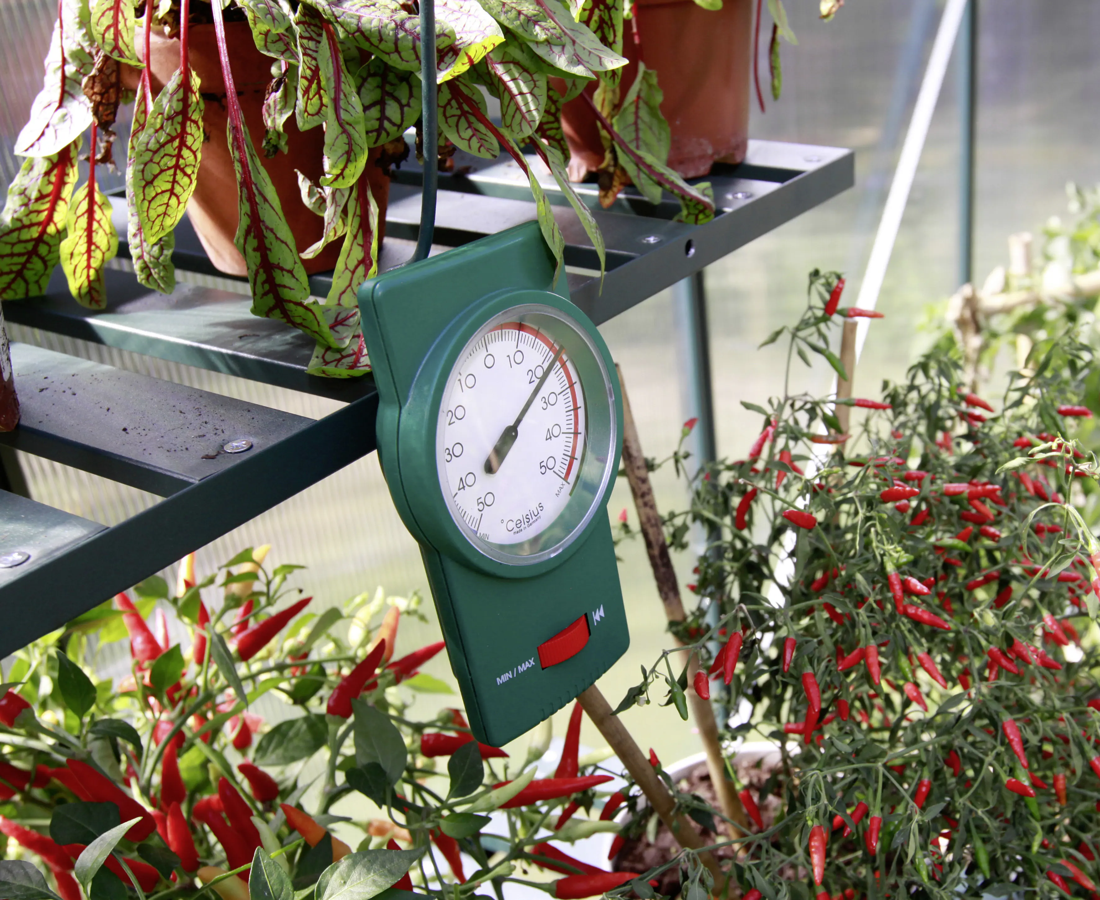 Vitavia Min-Max-Thermometer