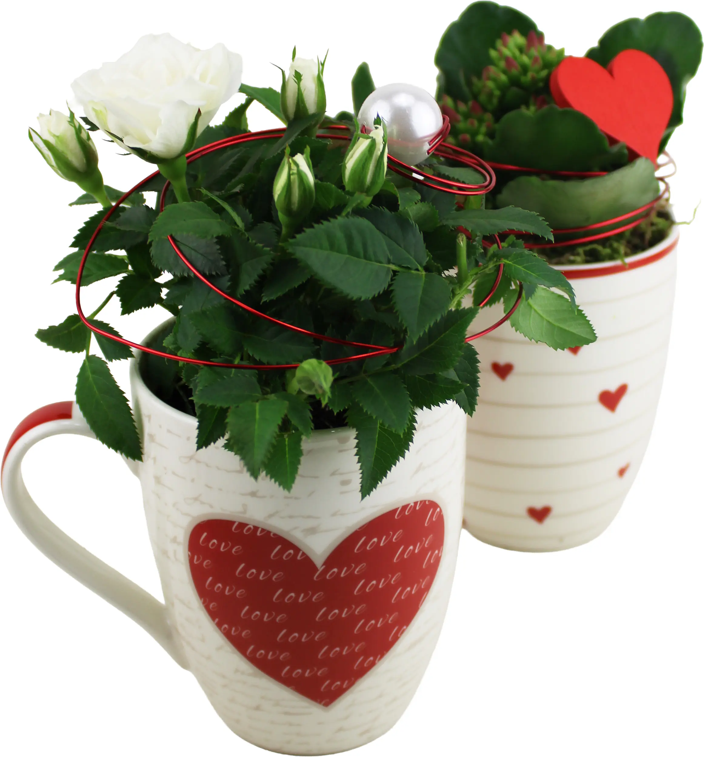 Bepflanzte Arrangements zu Muttertag Tasse