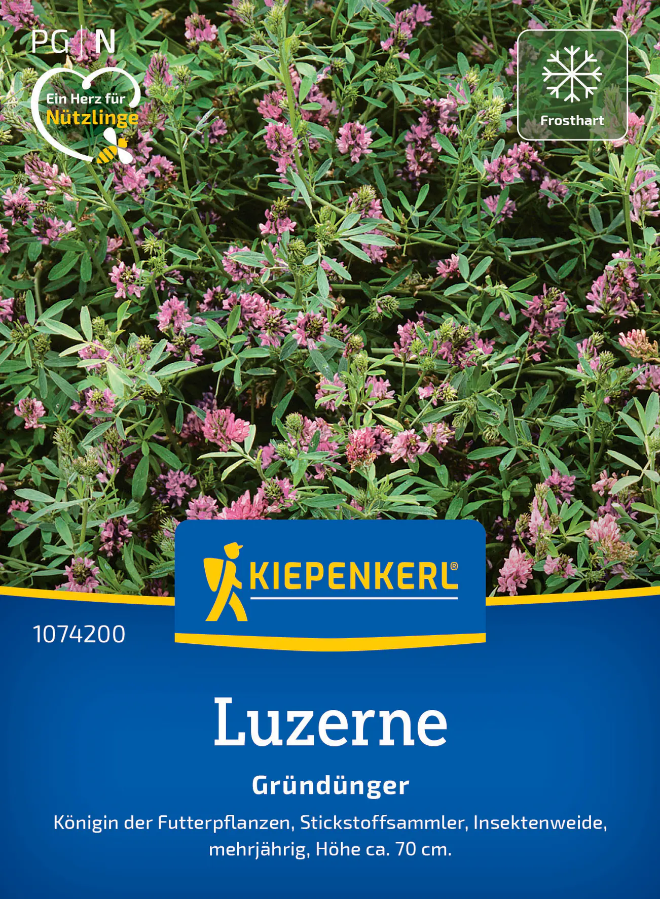 Kiepenkerl Saatgut Luzerne Saat-Alfalfa für ca. 25 m²