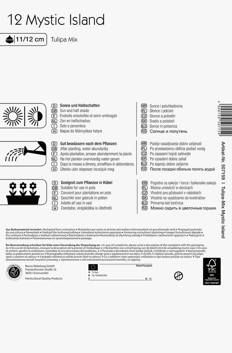 Colour Symphony Mystic Island Tulipa x Hybrida