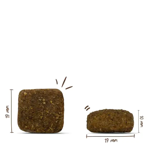 Bosch Trockenfutter für große Hunde Adult Maxi 15 kg Bosch Trockenfutter für große Hunde Adult Maxi 15 kg