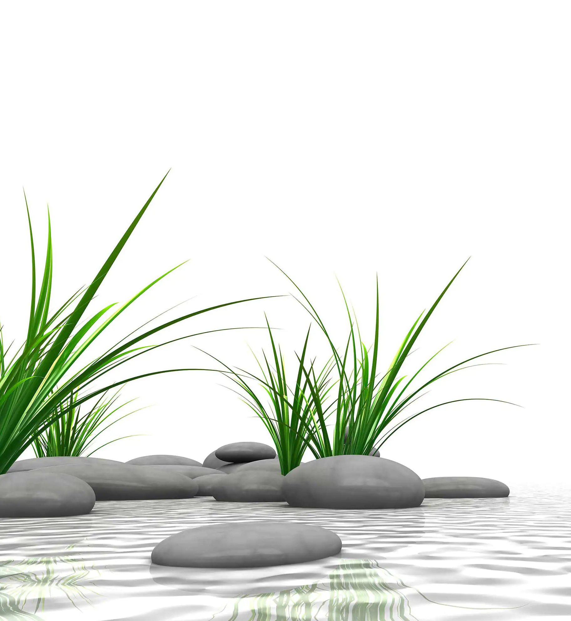 Breuer Duschrückwand Zen & Gras Foto über Eck 90x90x210x0,3 cm