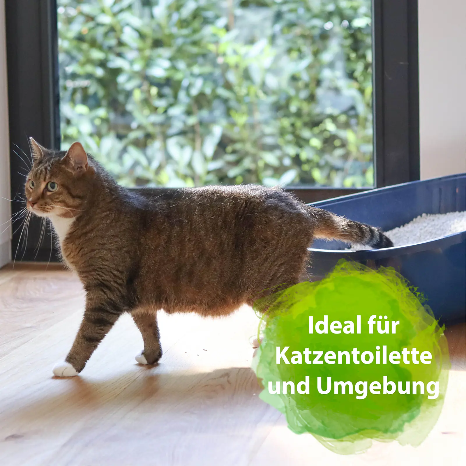Bactador Katzentoiletten Geruchsentferner 500 ml Bactador Katzentoiletten Geruchsentferner 500 ml