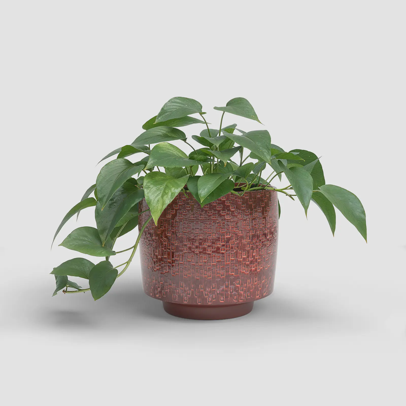Artevasi Übertopf Minerva Keramik Ø 28 x 24 cm rot