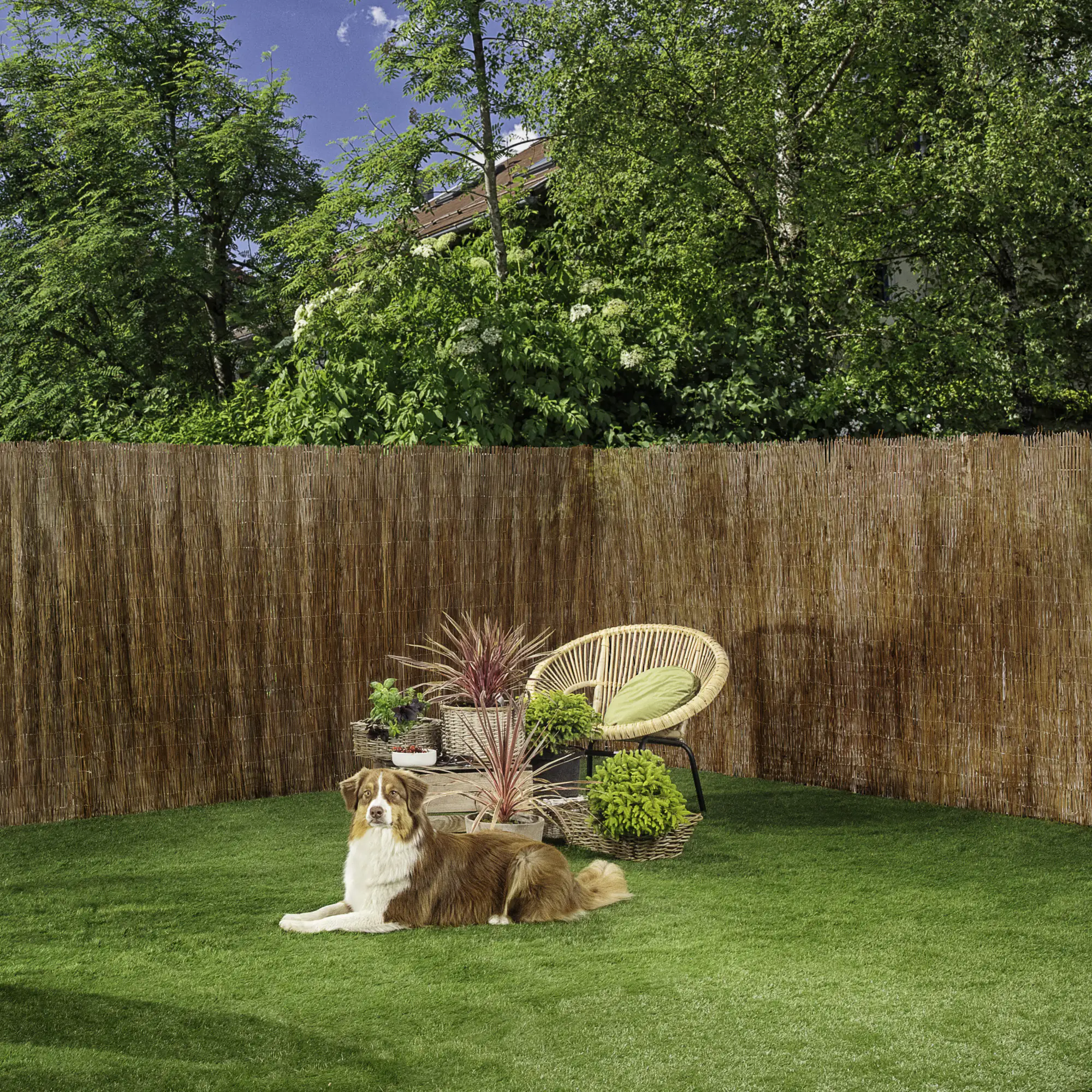 Windhager Sichtschutzmatte Inaka 150 x 300 cm