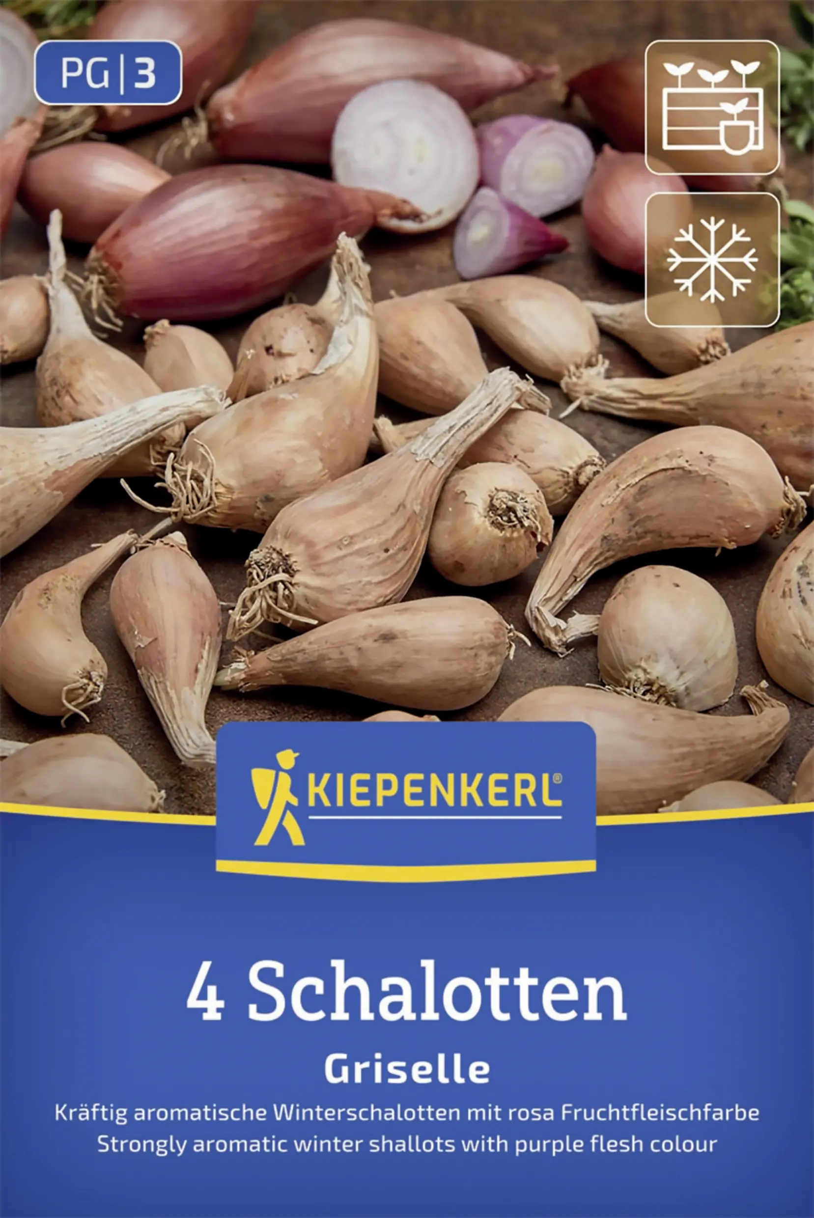 Kiepenkerl Winterpflanzschalotte Griselle 4 Stück