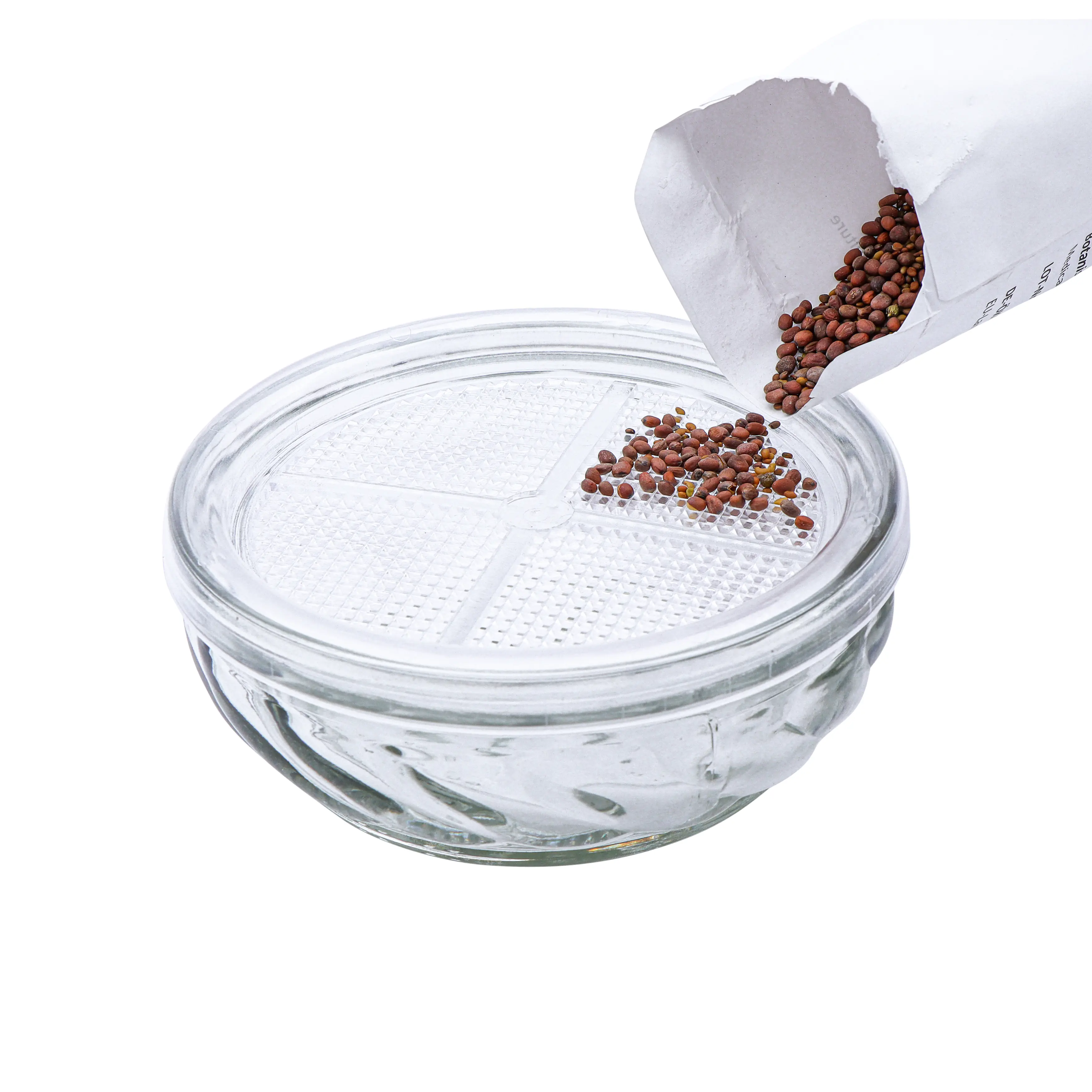 Siena Garden Sprossenglas Anzucht inkl. Saatgut Ø 12 cm 