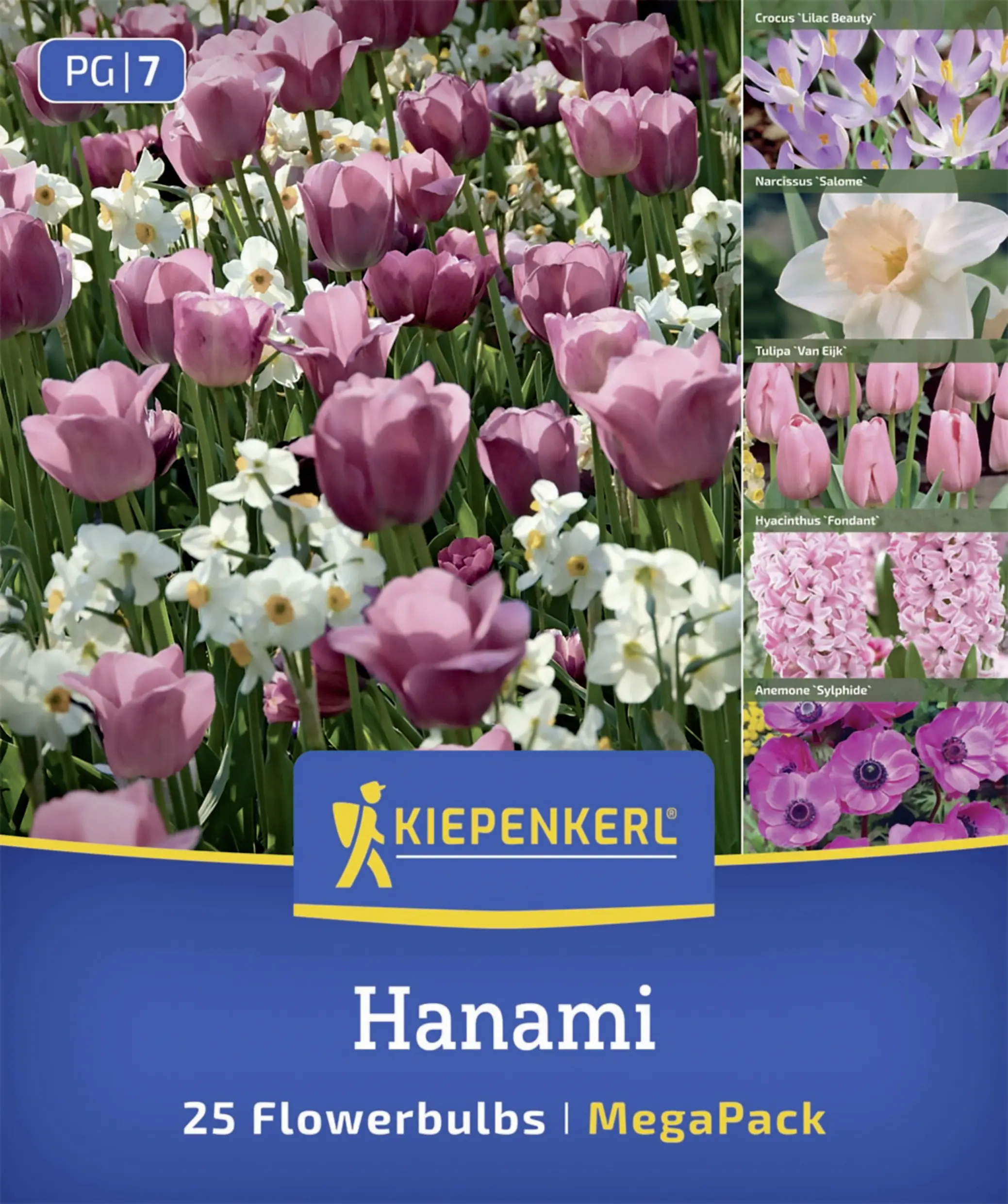 Kiepenkerl Mega Pack Hanami pink/rosa/weiß 25 Stück