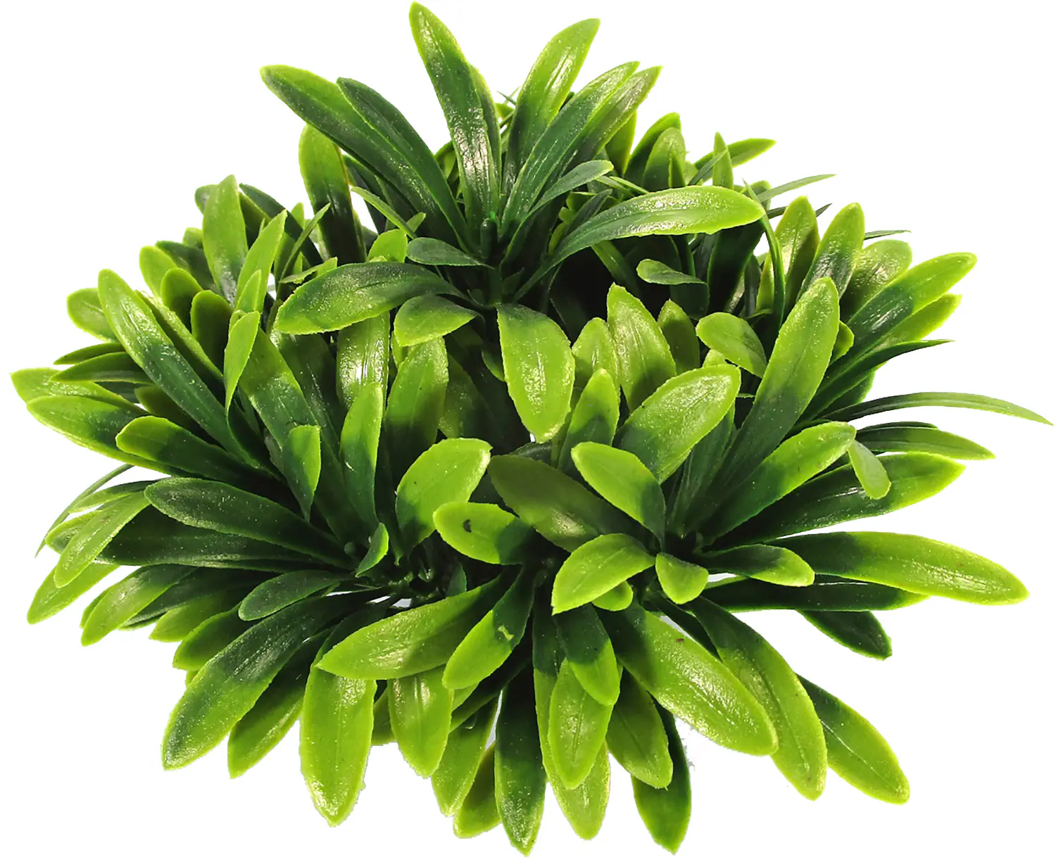 Orbit Aquapflanze Deluxe Nr.33 Small