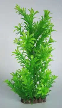 4038768705161 Orbit Aquapflanze Deluxe X-Large 32 - 38 cm