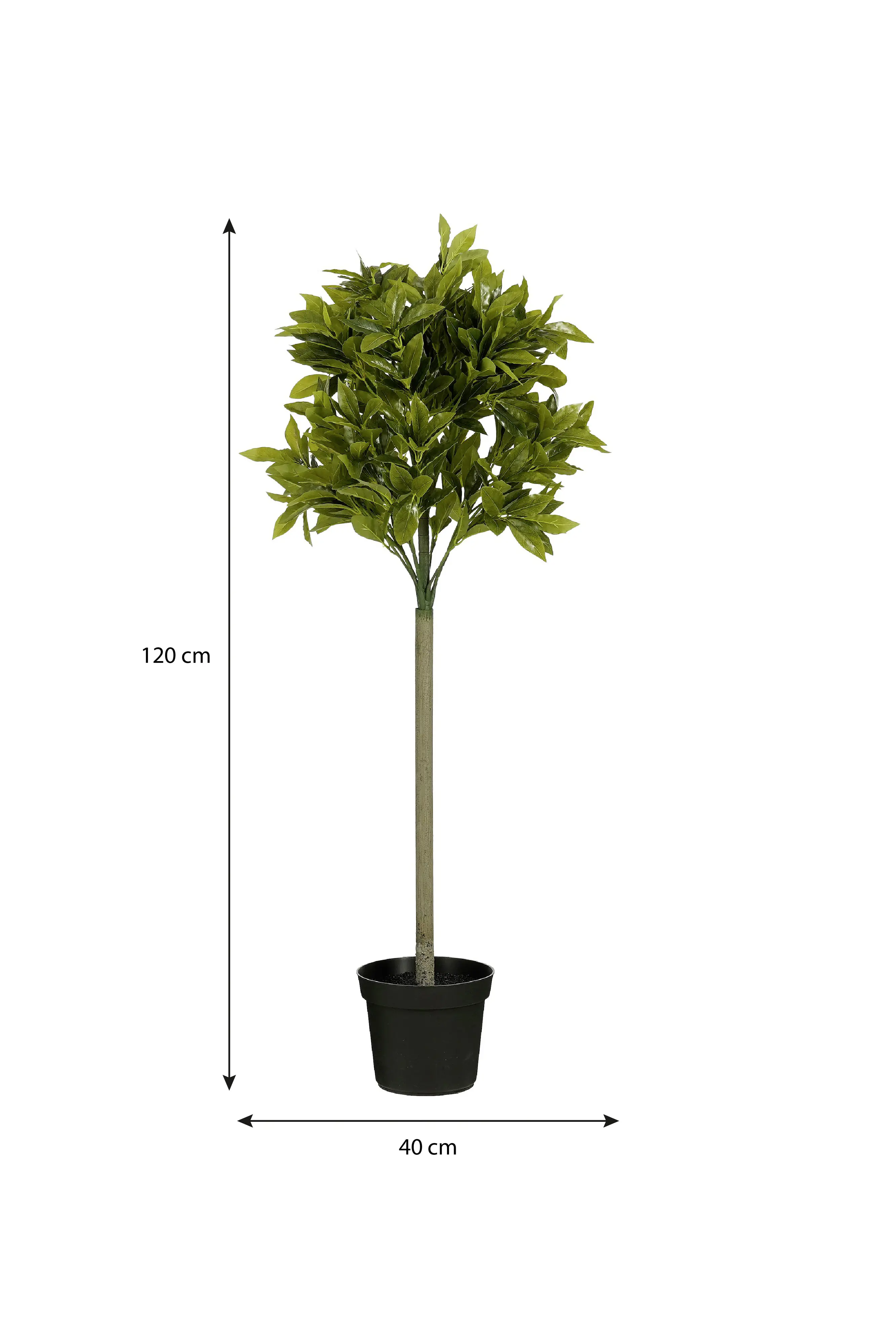 Mica Kunstpflanze Laurel Baum grün 120 cm