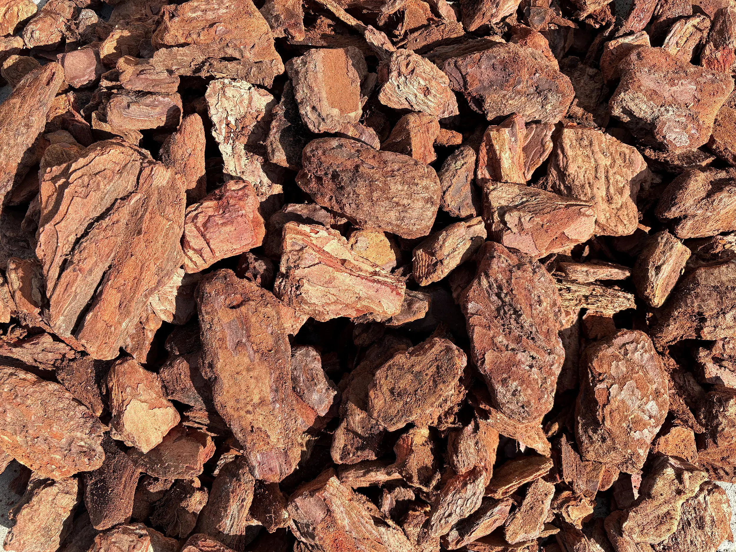 Agricon Pinienrinde Excellent 60 - 80 mm Körnung 60 L Agricon Pinienrinde Excellent 60 - 80 mm Körnung 60 L