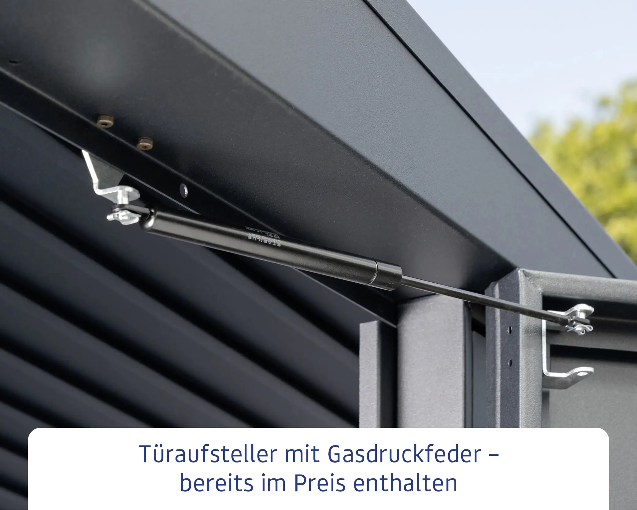 EcoStar Gerätehaus Elegant-P Typ 3 anthrazitgrau 312,7 x 283,4 x 232,3 cm EcoStar Gerätehaus Elegant-P Typ 3 anthrazitgrau 312,7 x 283,4 x 232,3 cm