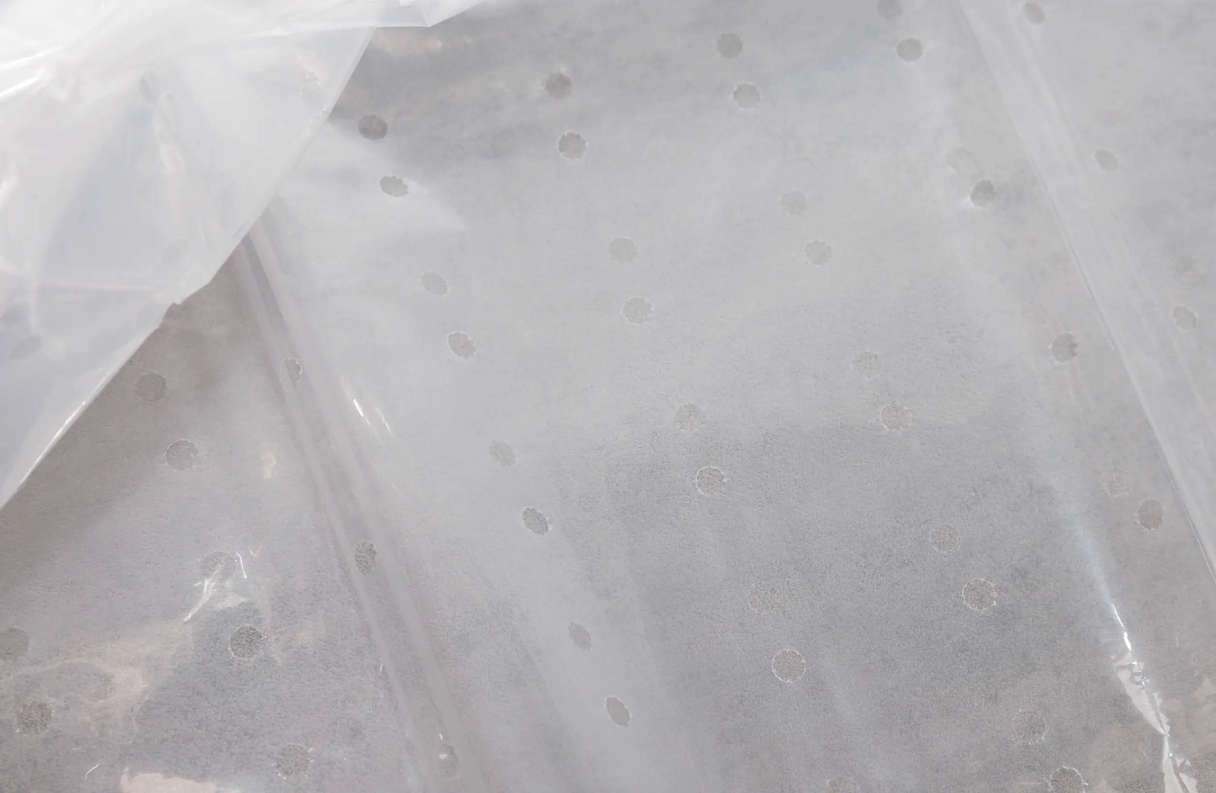 TrendLine Tomatenreifhaube 0,65 x 1,3 m