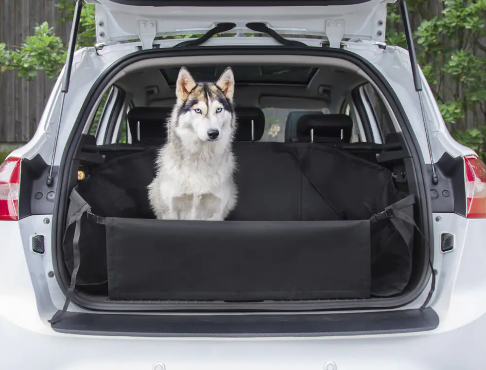 Nobby Kofferraum Schutzdecke schwarz